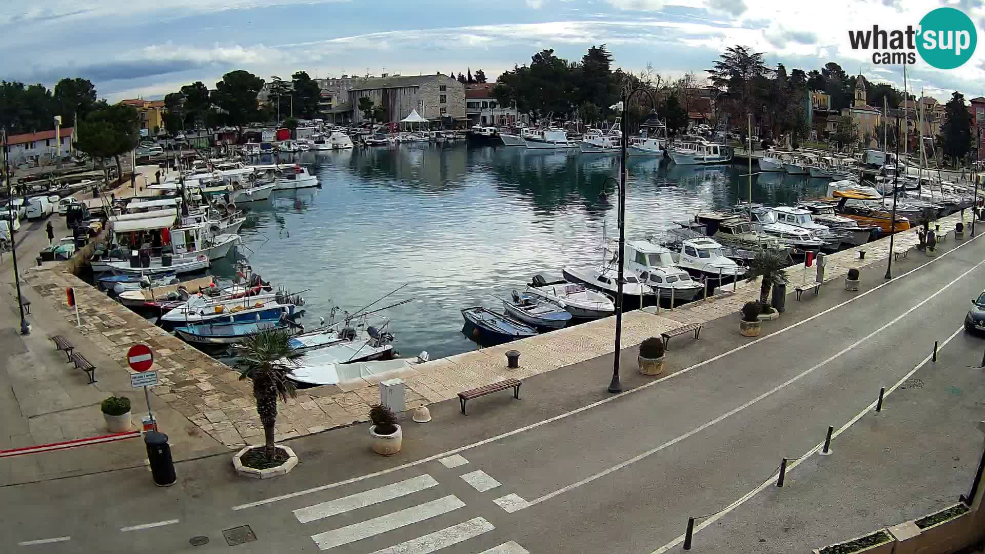 Novigrad webcam Mandrač | alten Hafen – Istrien