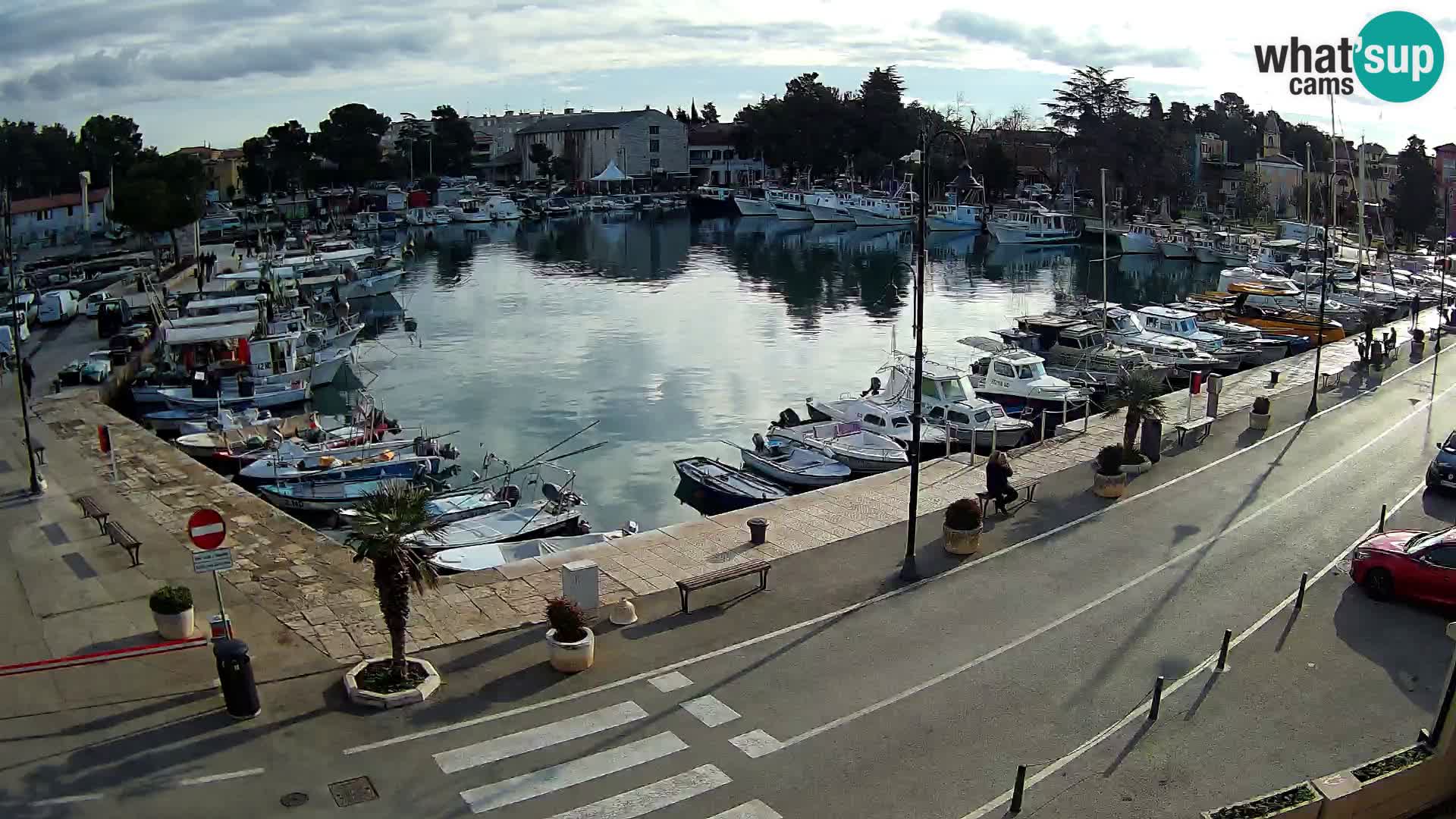 Novigrad webcam Mandrač | old marina – Istria