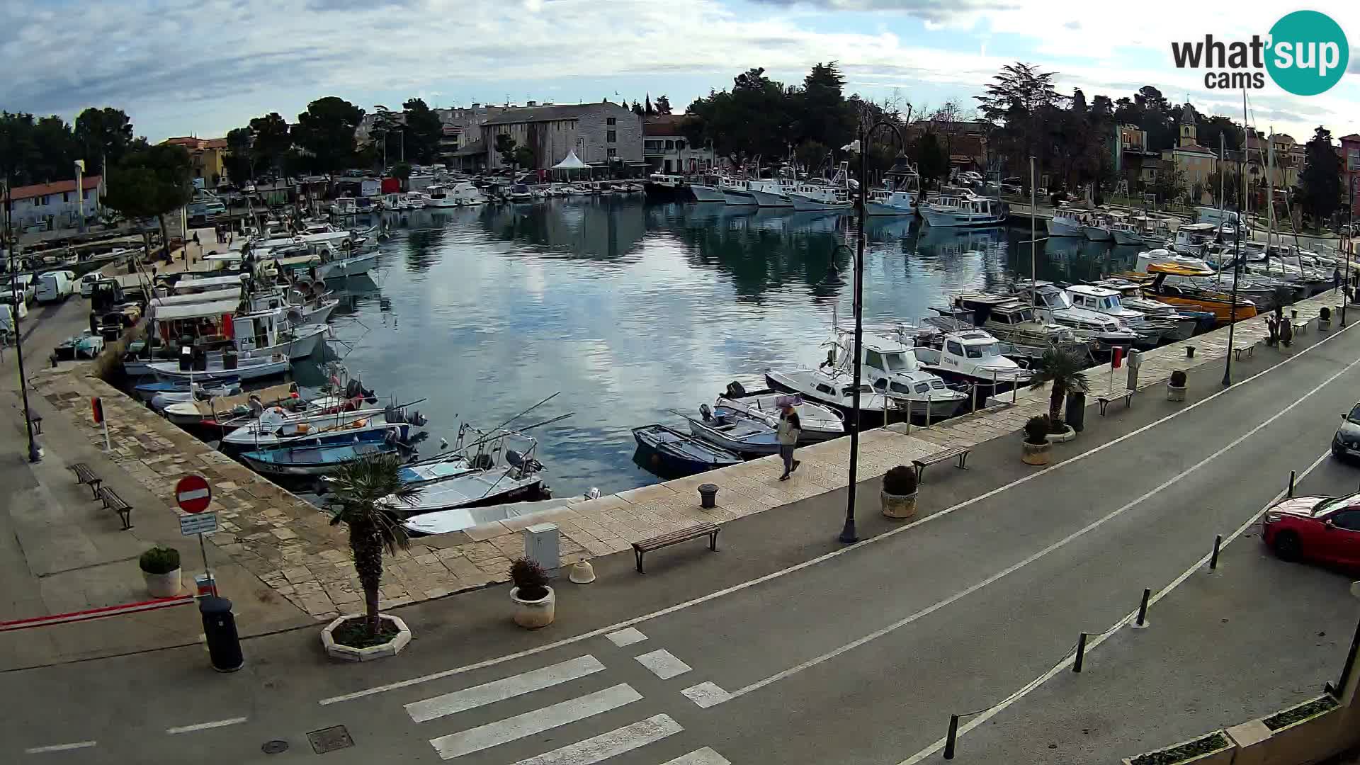 Novigrad webcam Mandrač | Cittanova in Istria – Porto vecchio