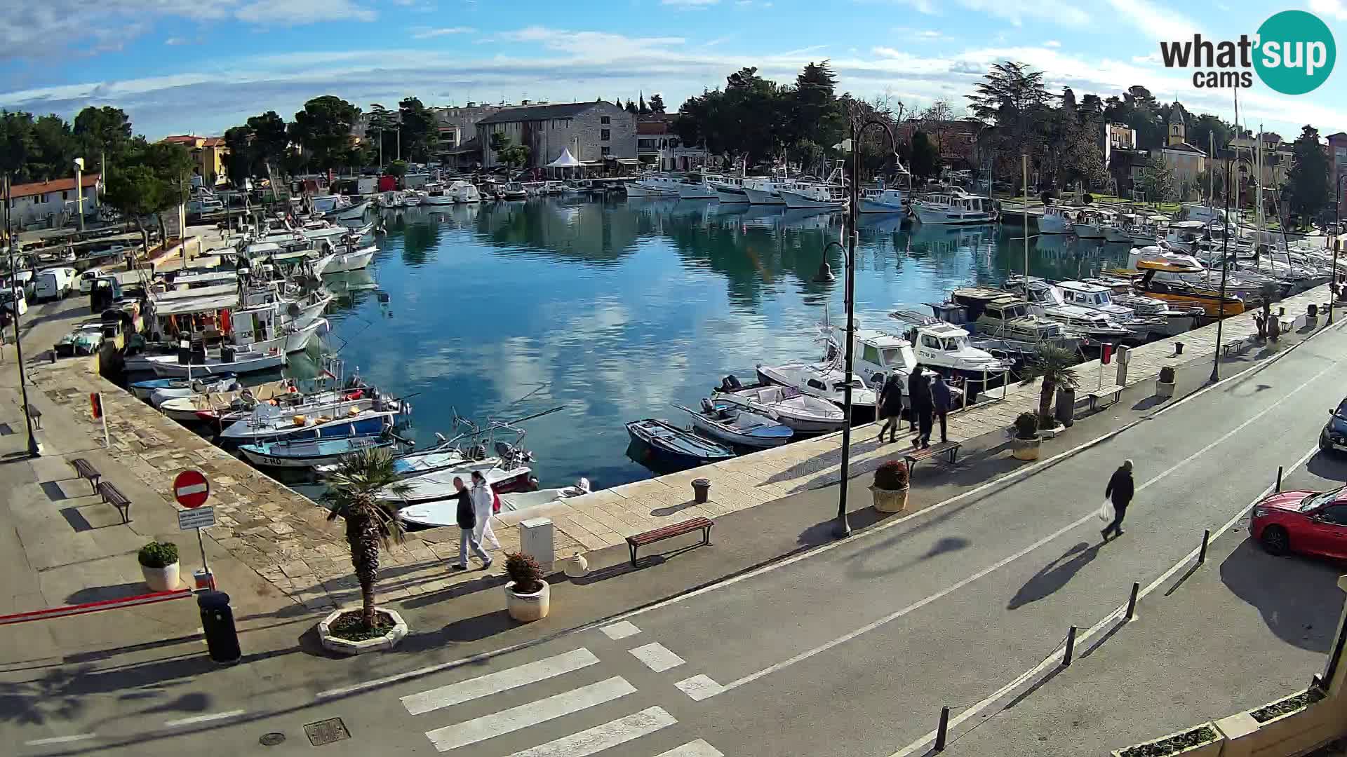 Novigrad webcam Mandrač | Cittanova in Istria – Porto vecchio