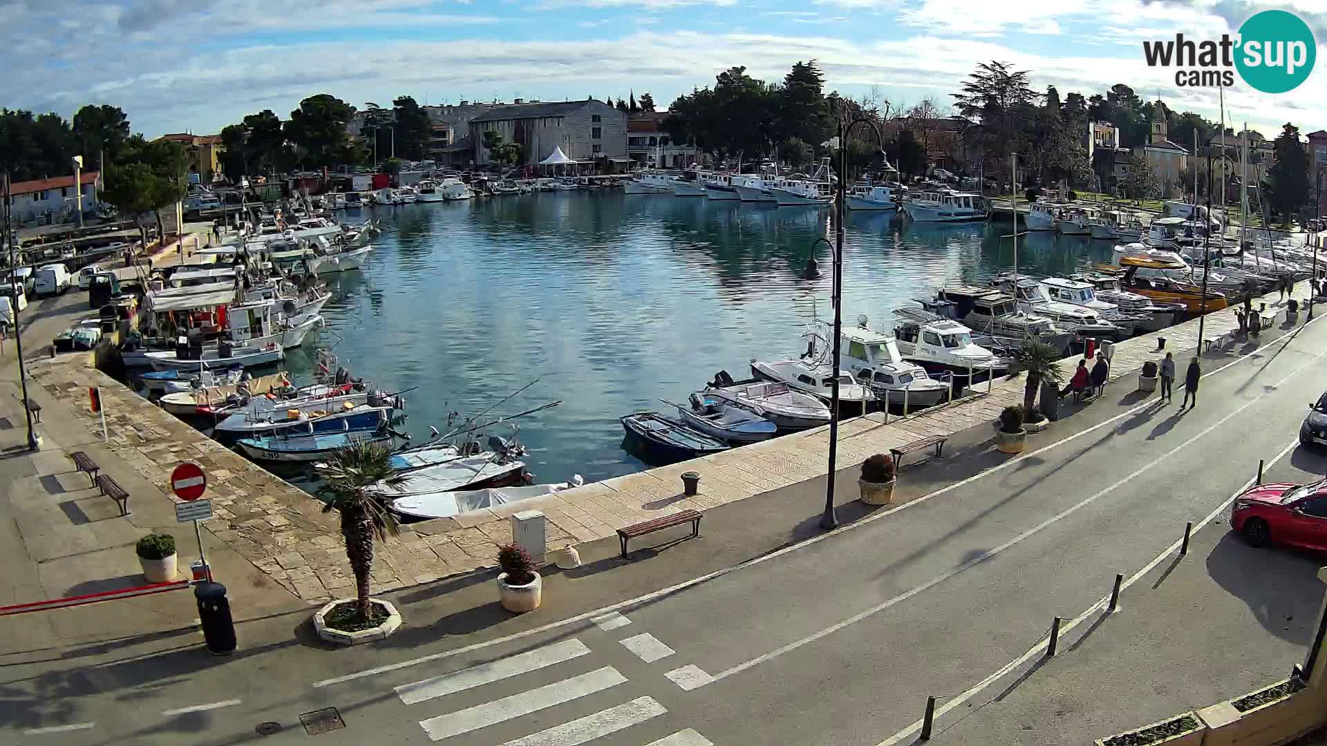 Novigrad webcam Mandrač | alten Hafen – Istrien