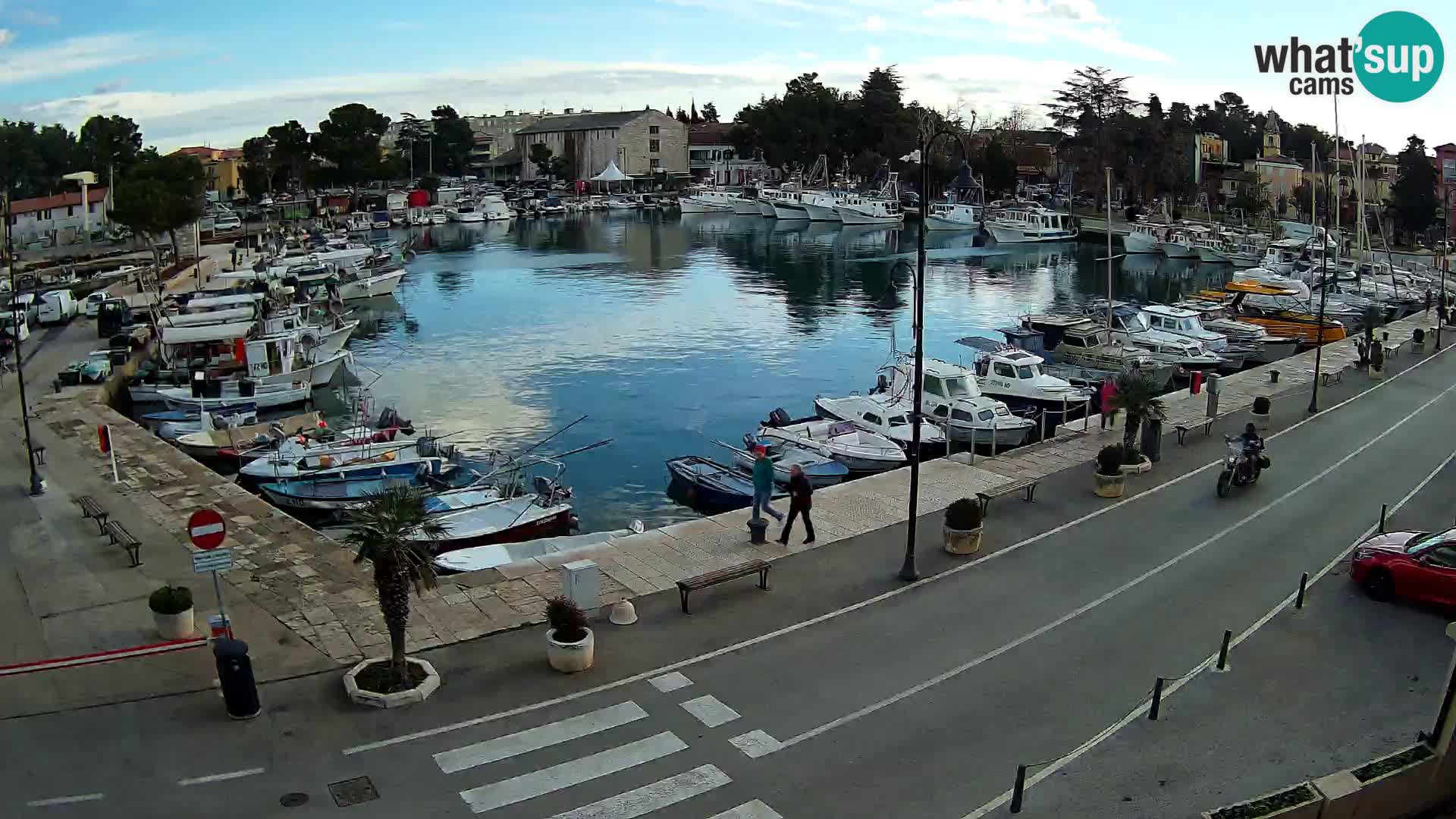 Novigrad webcam Mandrač | alten Hafen – Istrien