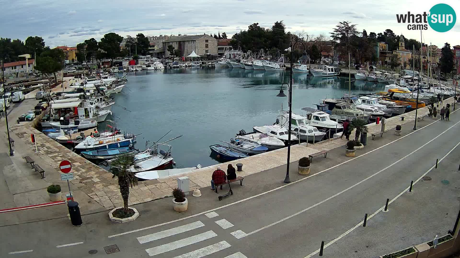 Novigrad webcam Mandrač | Cittanova in Istria – Porto vecchio