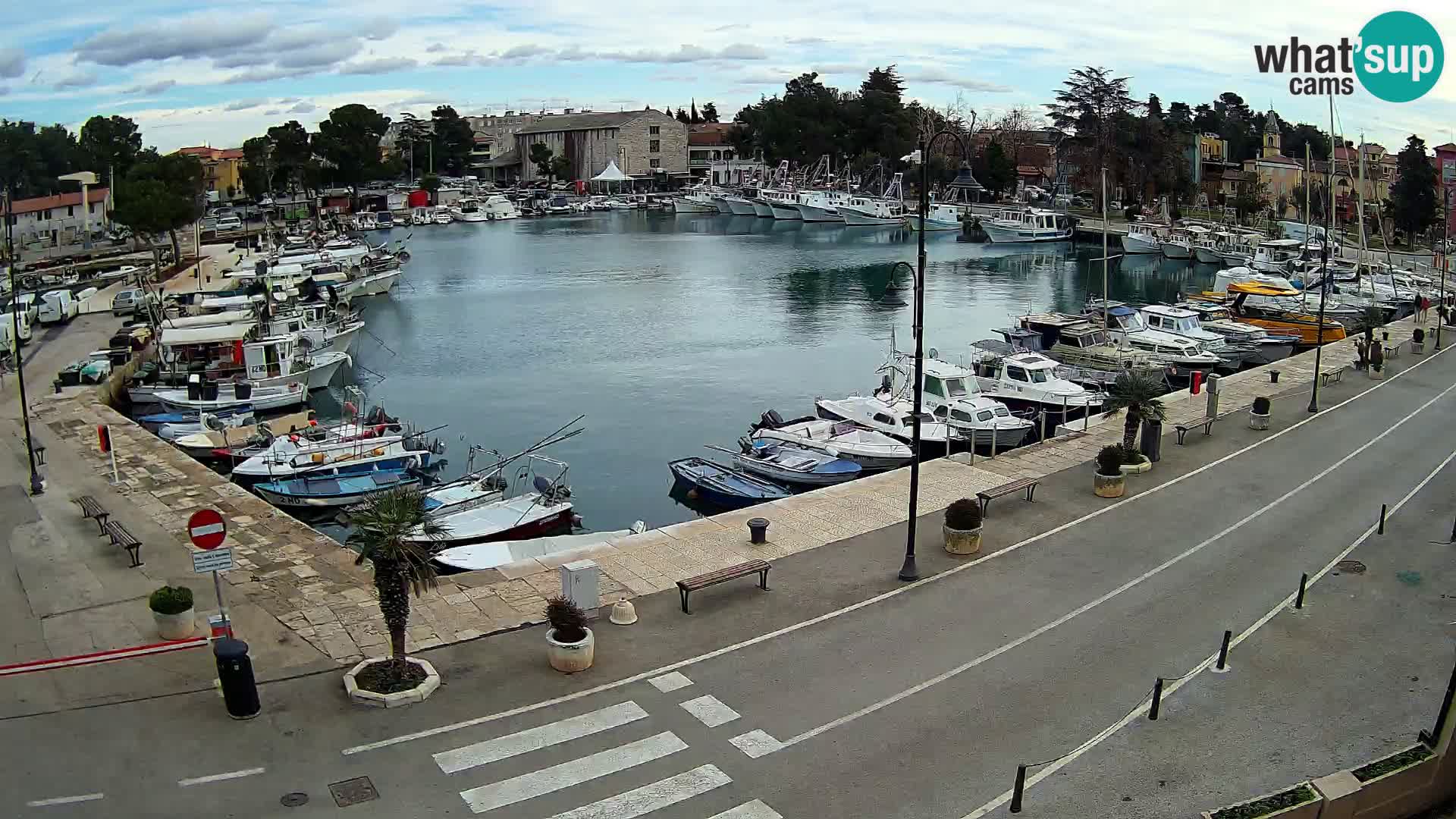 Novigrad webcam Mandrač | alten Hafen – Istrien