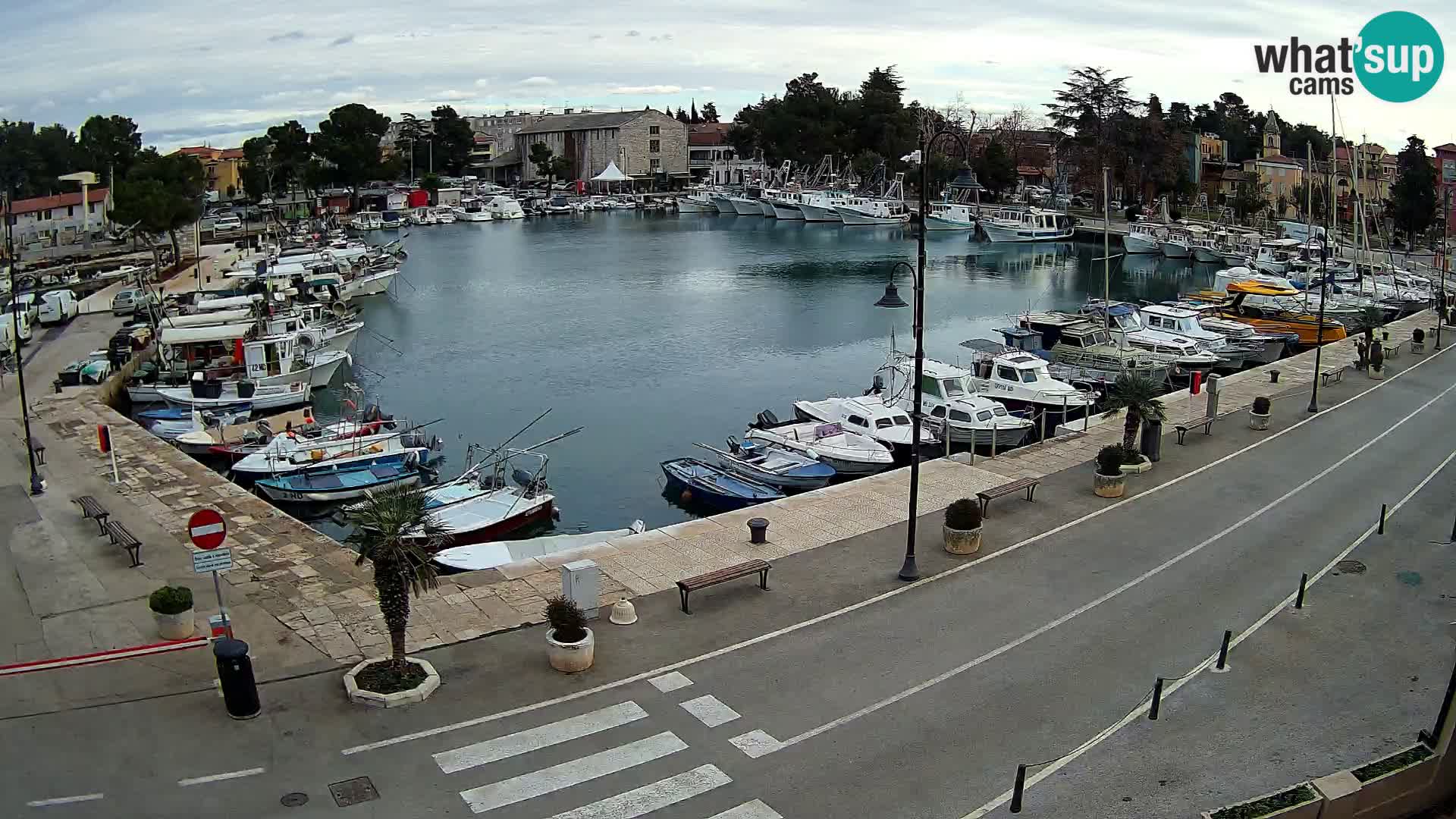 Novigrad webcam Mandrač | alten Hafen – Istrien