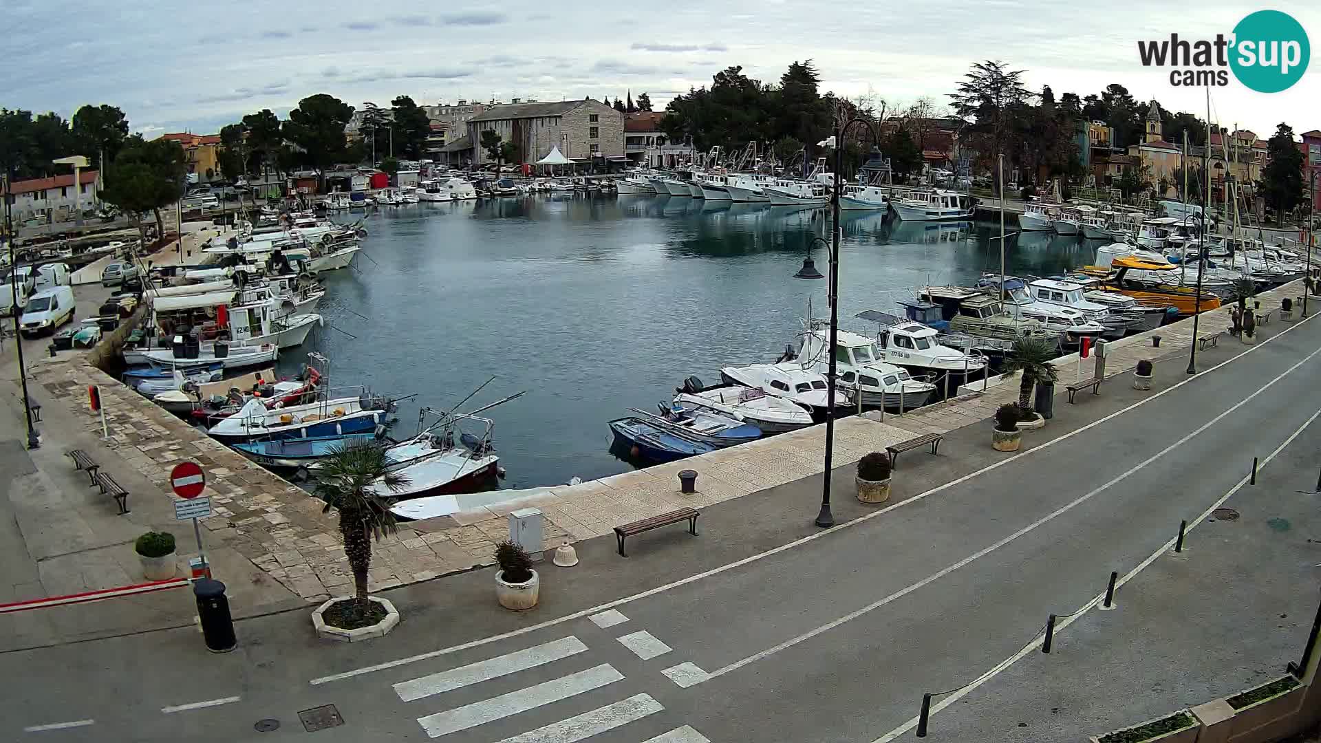 Novigrad webcam Mandrač | alten Hafen – Istrien