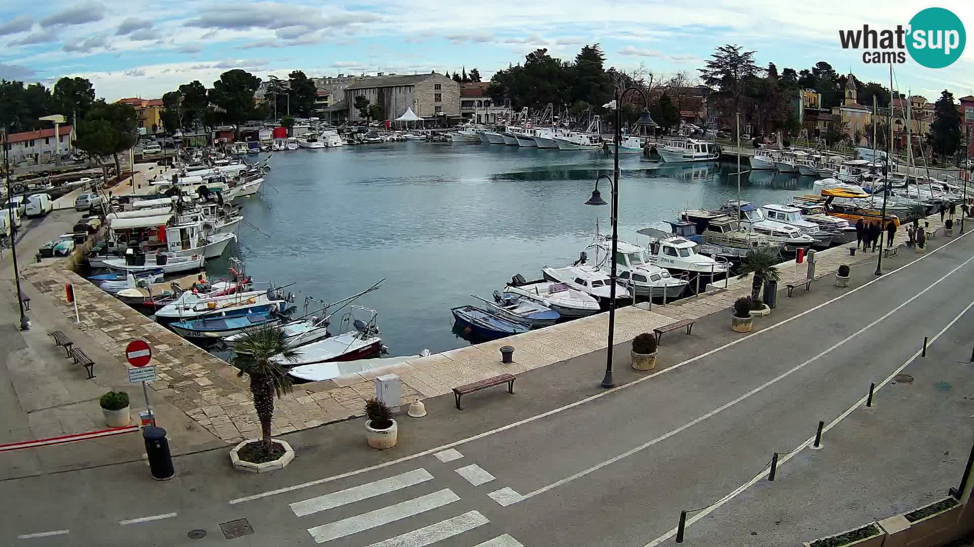 Novigrad – puerto viejo “Mandrač”