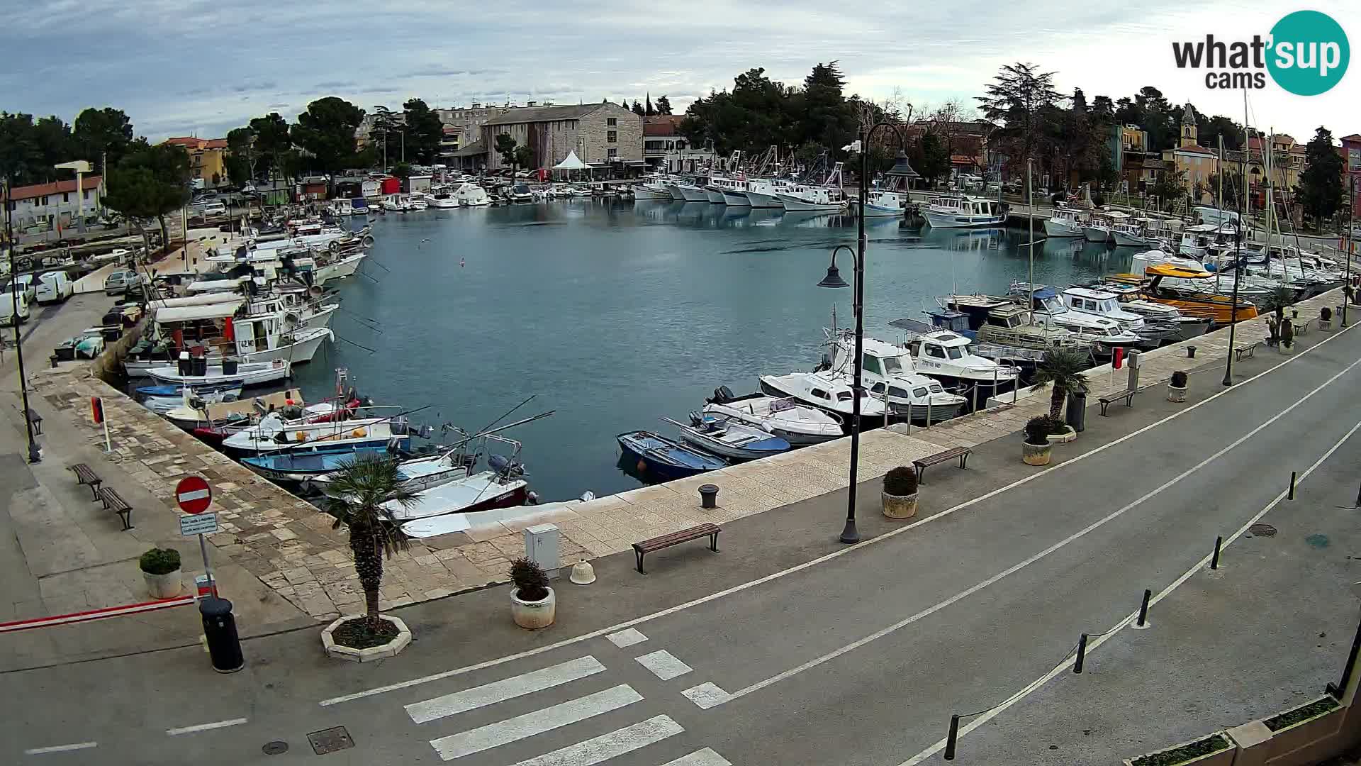 Novigrad – puerto viejo “Mandrač”