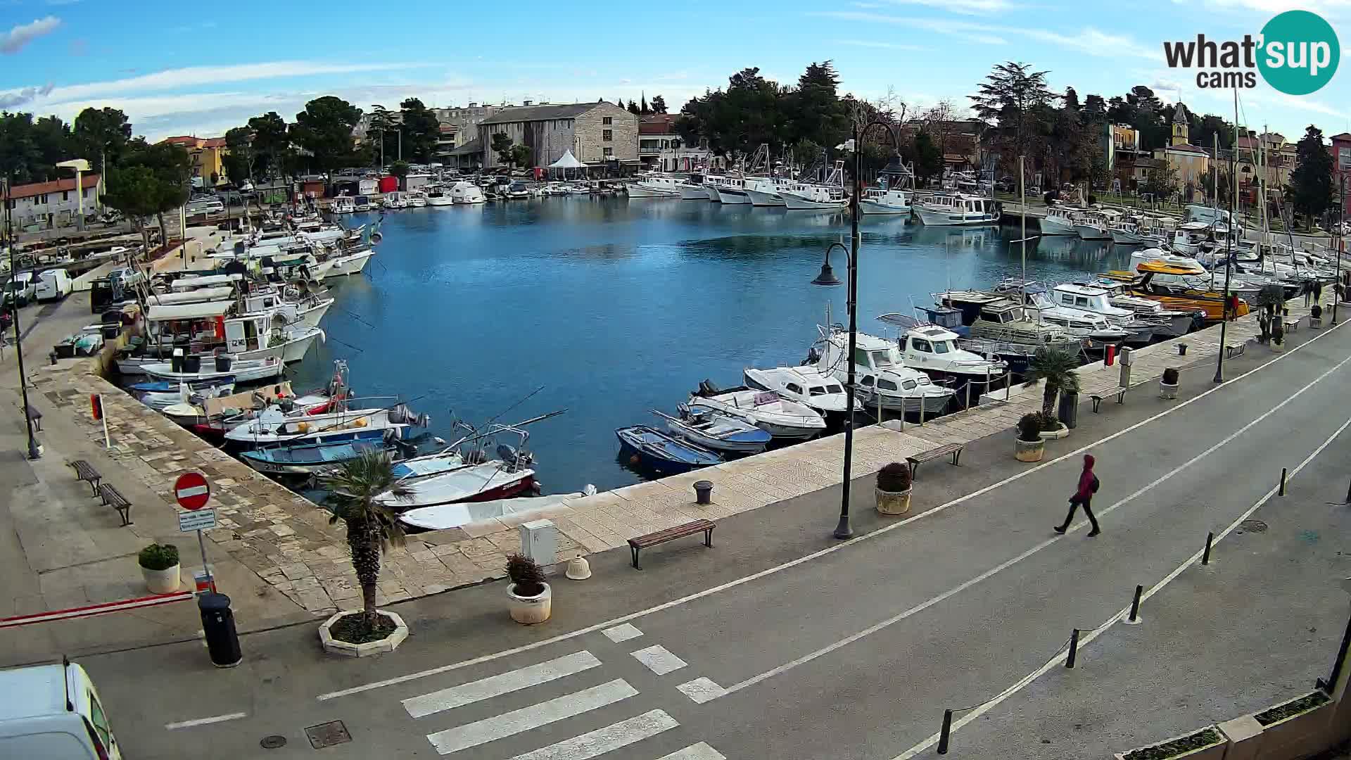 Novigrad kamera Mandrač – Istra