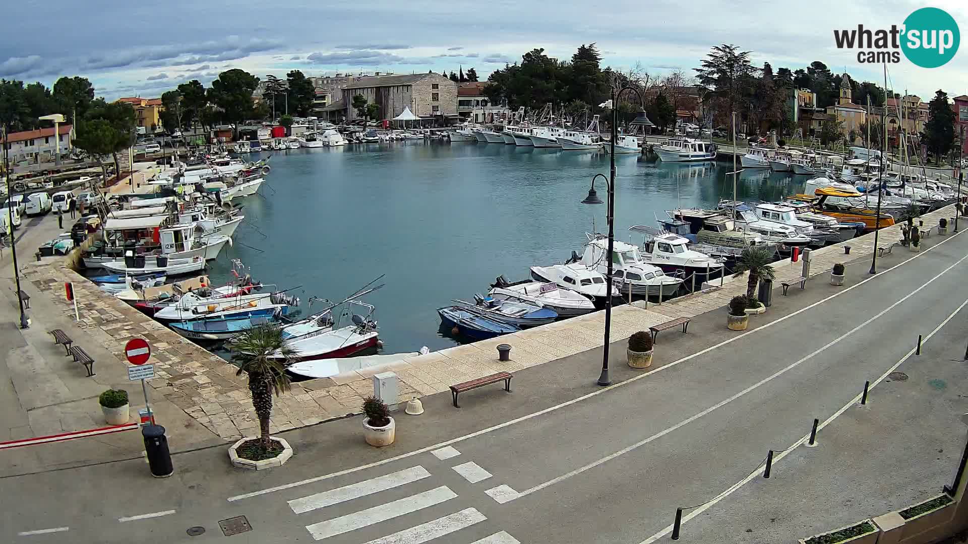 Novigrad webcam Mandrač | alten Hafen – Istrien