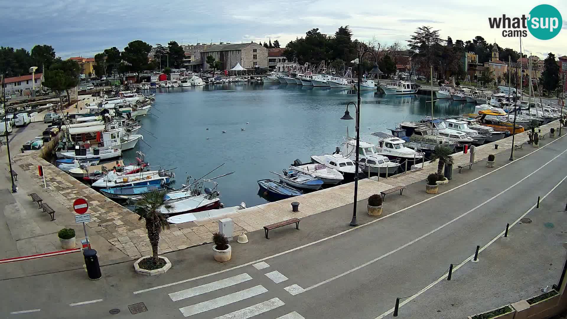 Novigrad kamera Mandrač – Istra