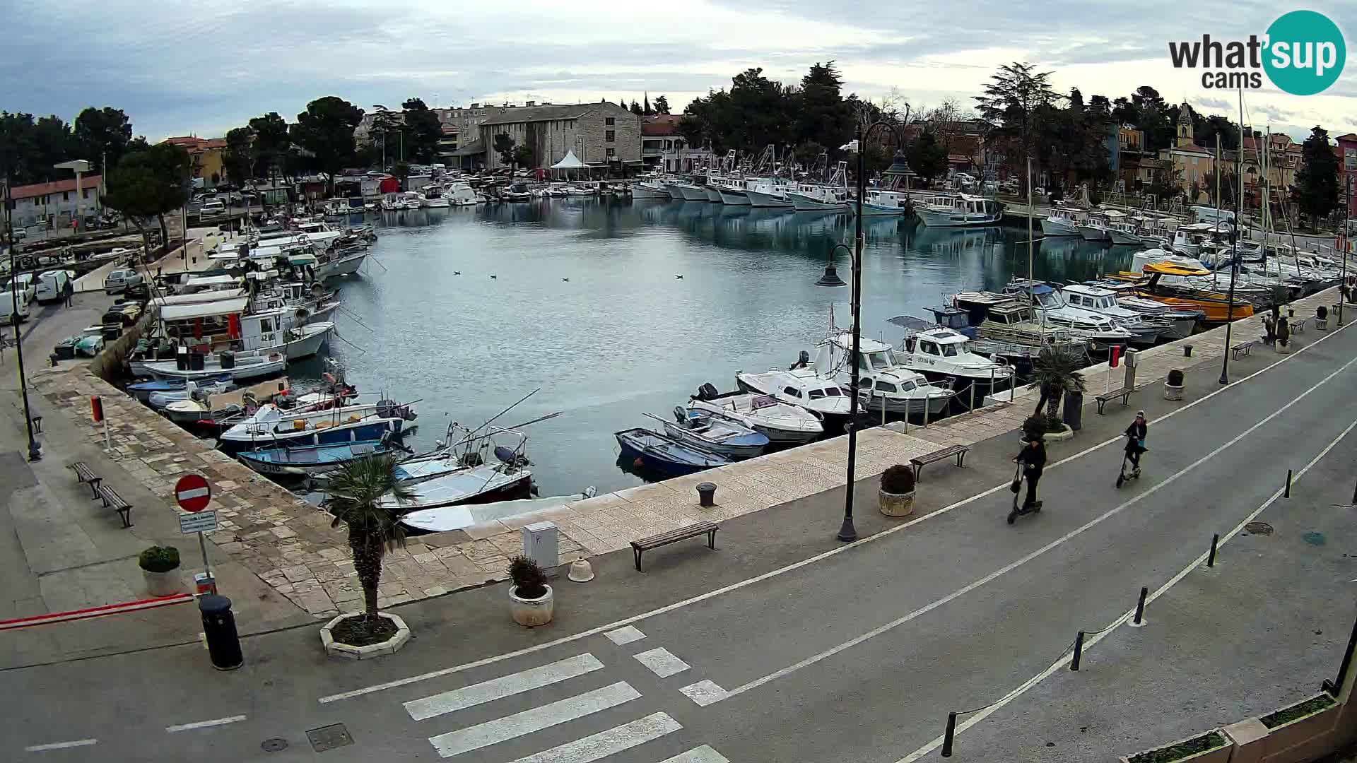 Novigrad – puerto viejo “Mandrač”