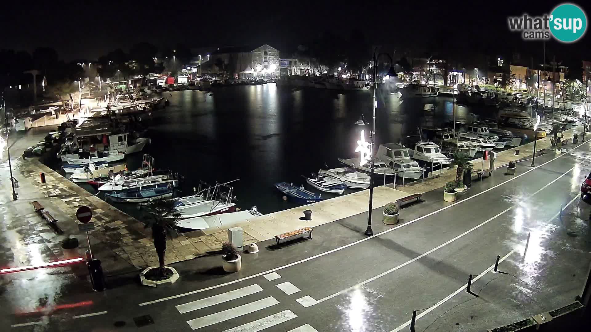 Novigrad – vieux port “Mandrač”