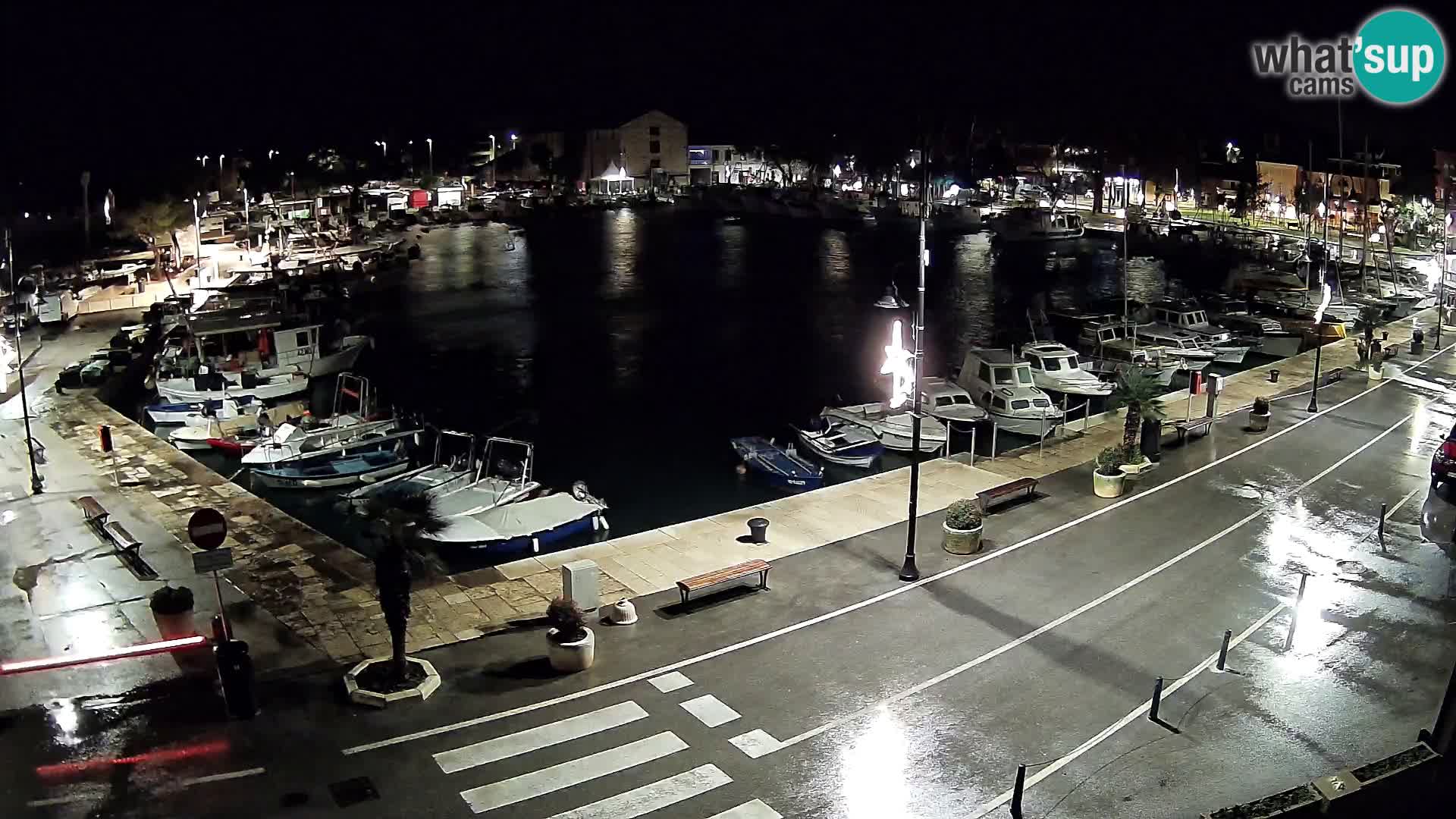 Novigrad webcam Mandrač | Cittanova in Istria – Porto vecchio