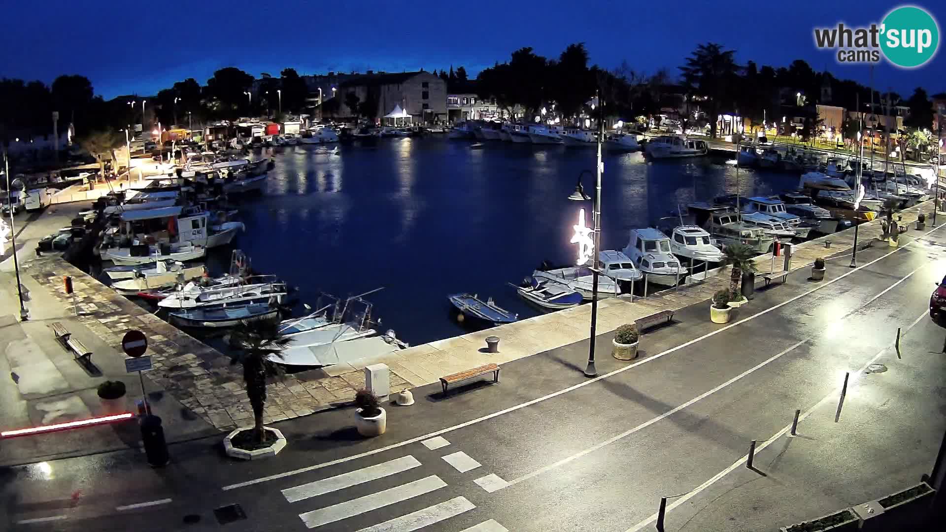 Novigrad webcam Mandrač | alten Hafen – Istrien