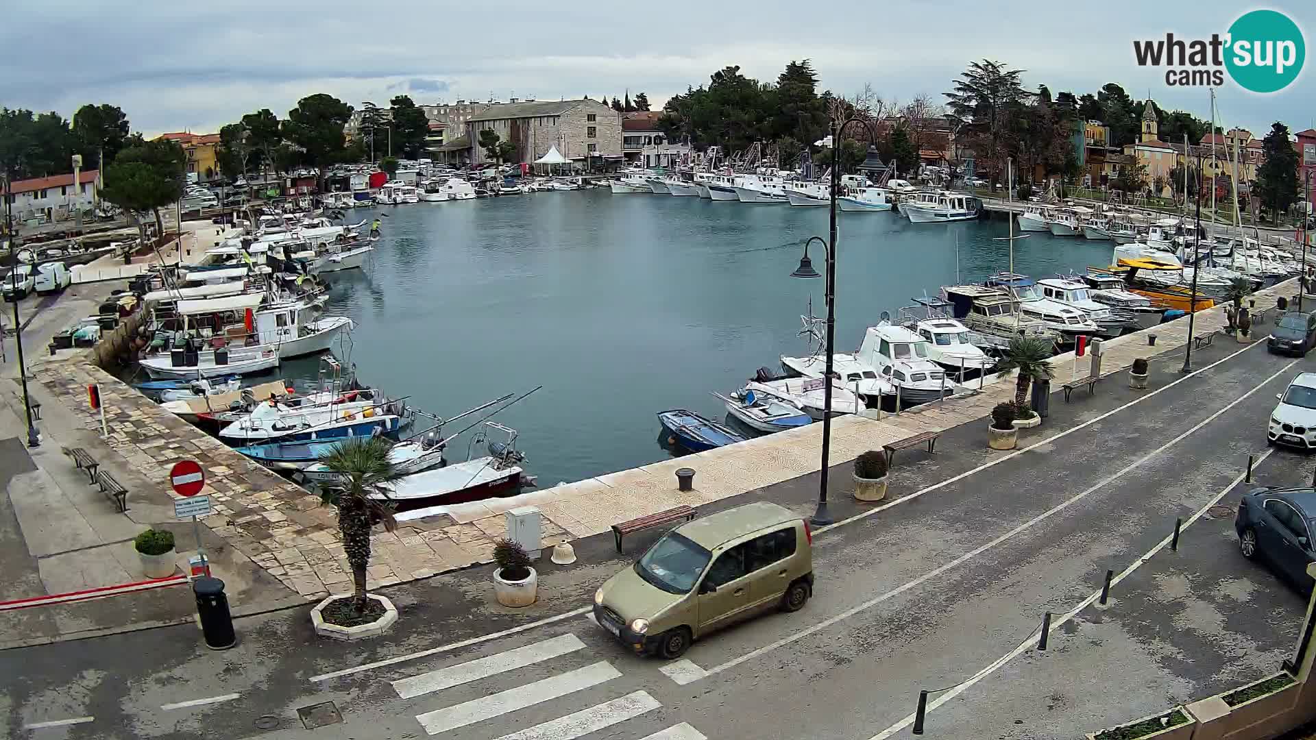 Novigrad webcam Mandrač | old marina – Istria