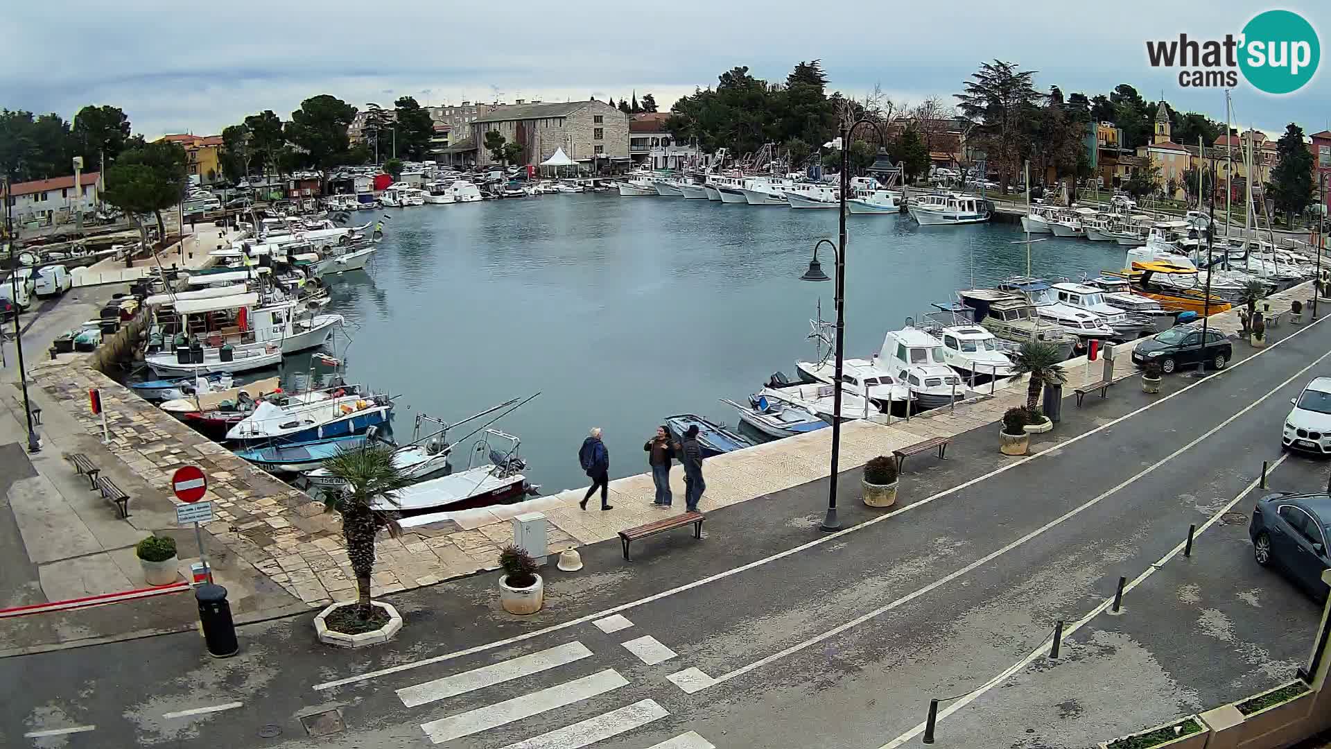 Novigrad webcam Mandrač | alten Hafen – Istrien