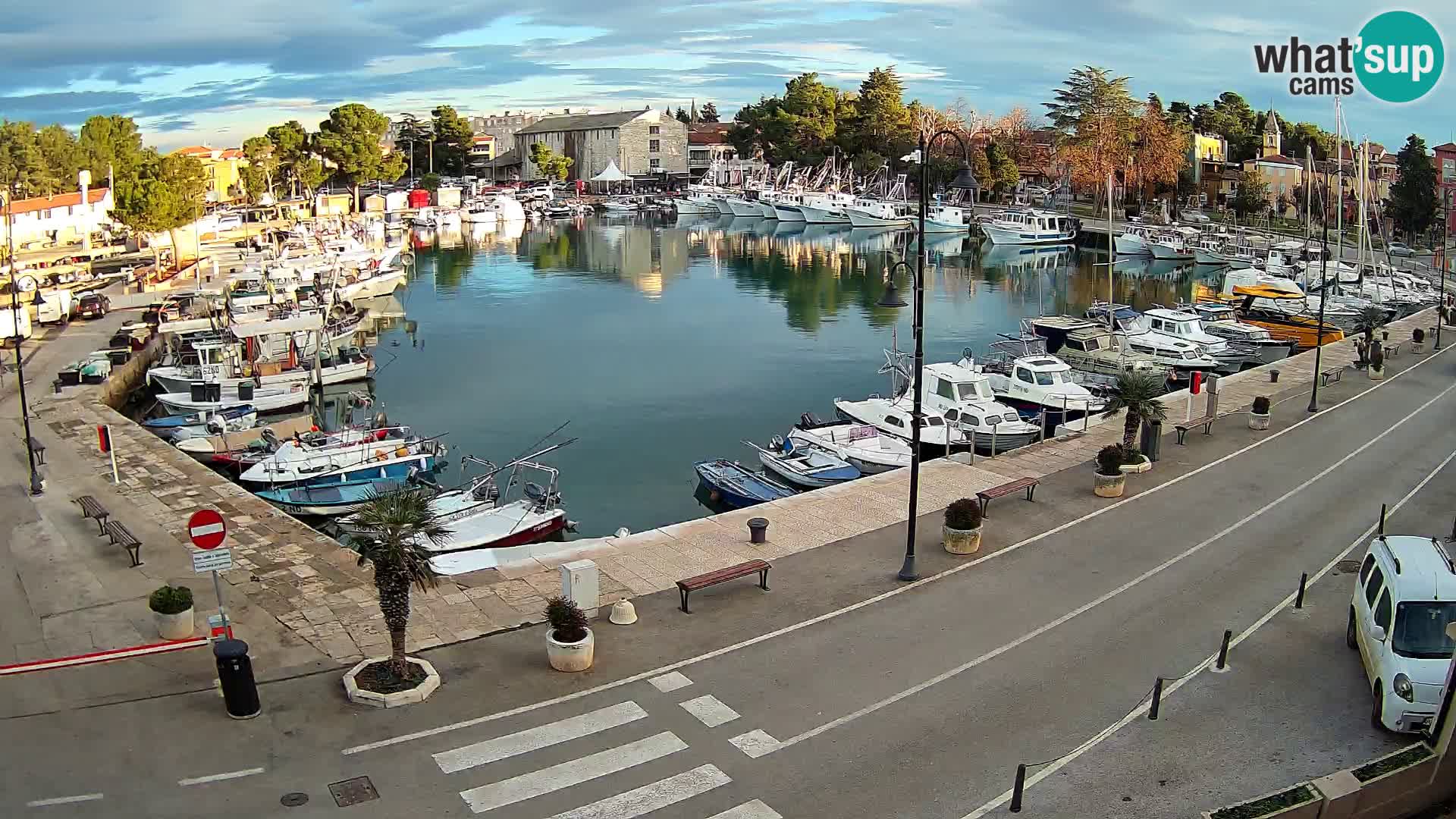 Novigrad webcam Mandrač | Cittanova in Istria – Porto vecchio