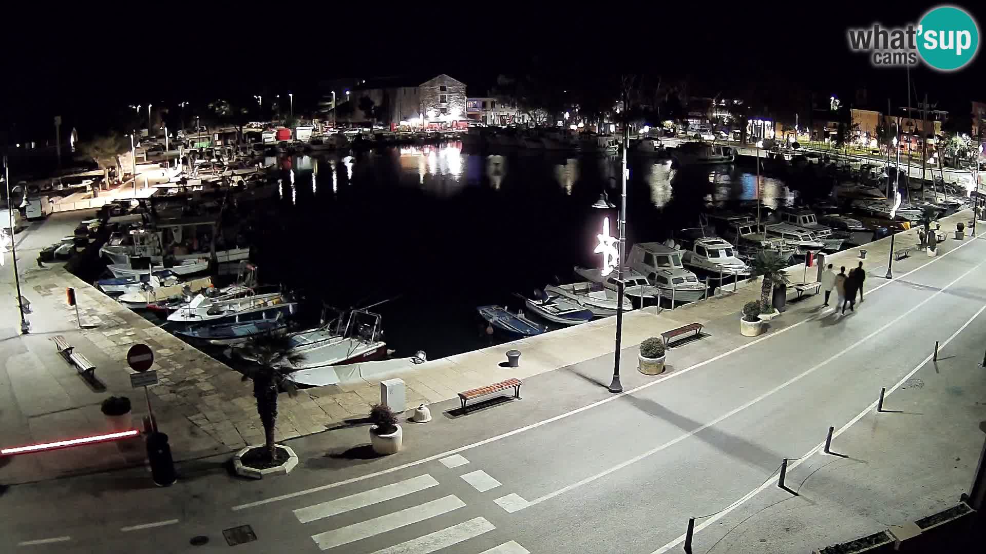 Novigrad webcam Mandrač | Cittanova in Istria – Porto vecchio