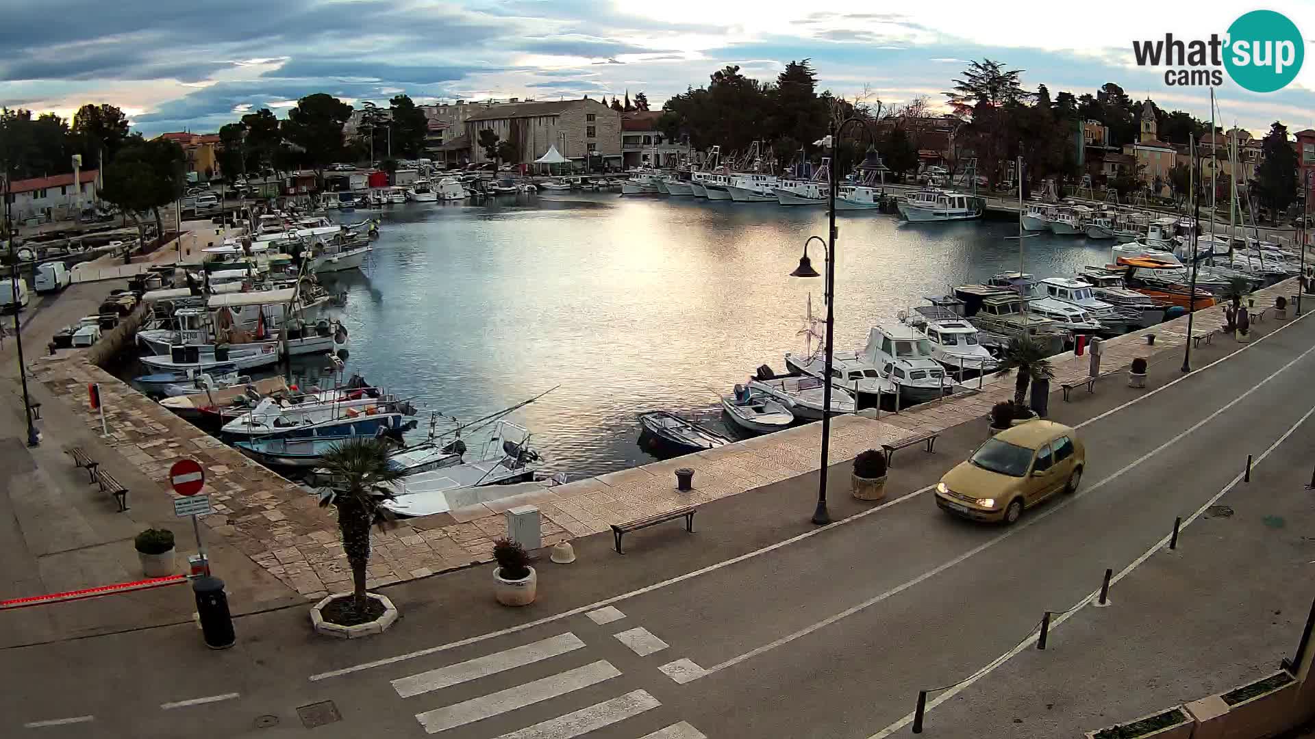 Novigrad webcam Mandrač | alten Hafen – Istrien