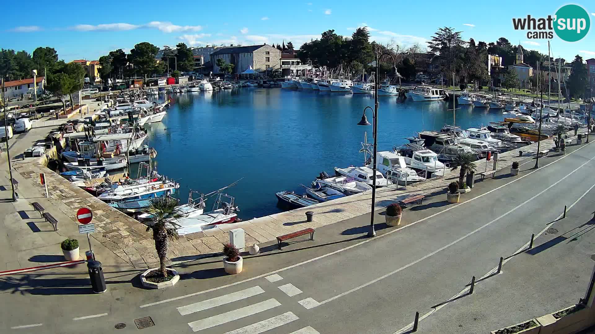 Novigrad webcam Mandrač | Cittanova in Istria – Porto vecchio