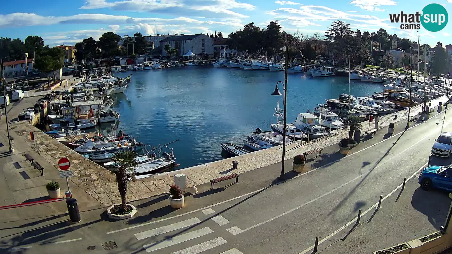 Novigrad webcam Mandrač | Cittanova in Istria – Porto vecchio