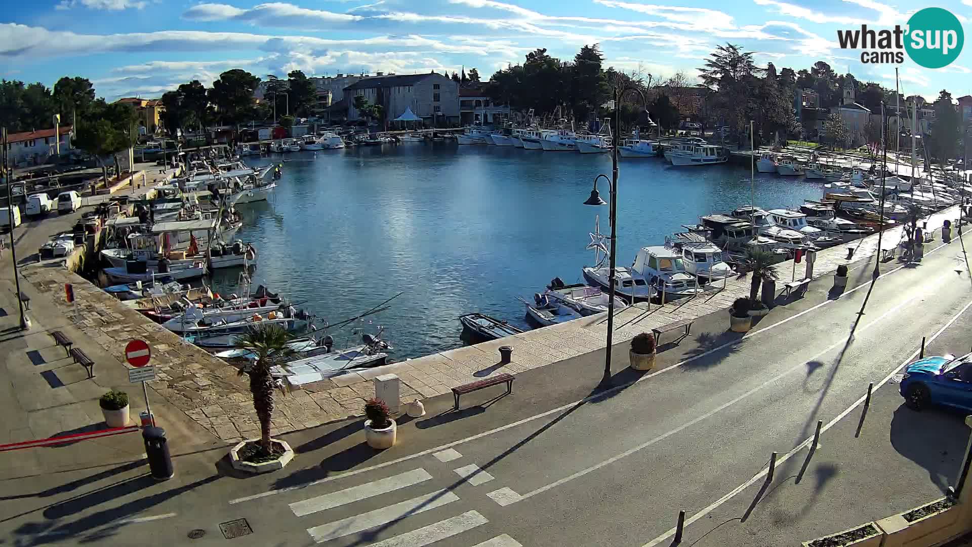 Novigrad webcam Mandrač | Cittanova in Istria – Porto vecchio