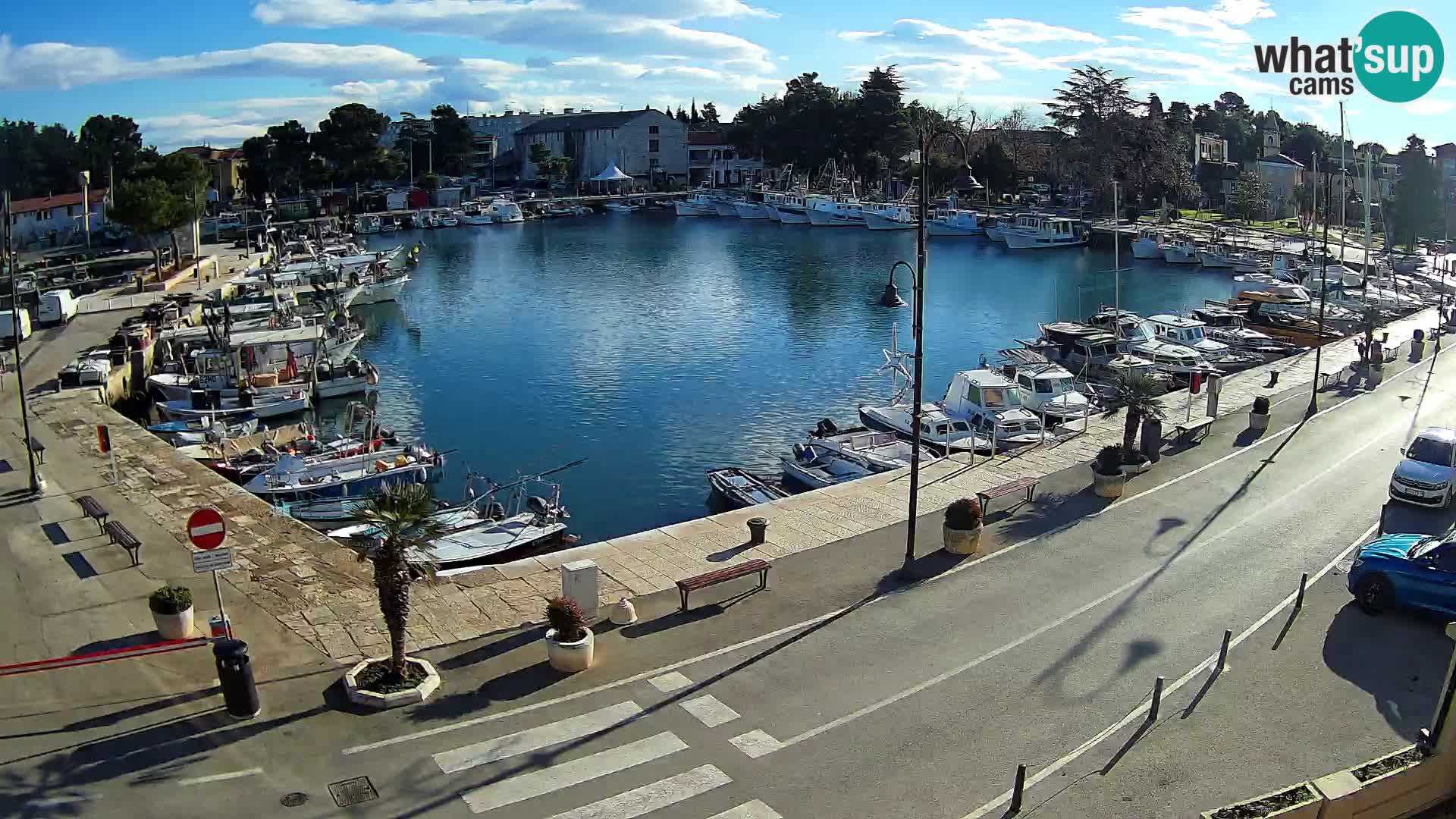 Novigrad webcam Mandrač | Cittanova in Istria – Porto vecchio