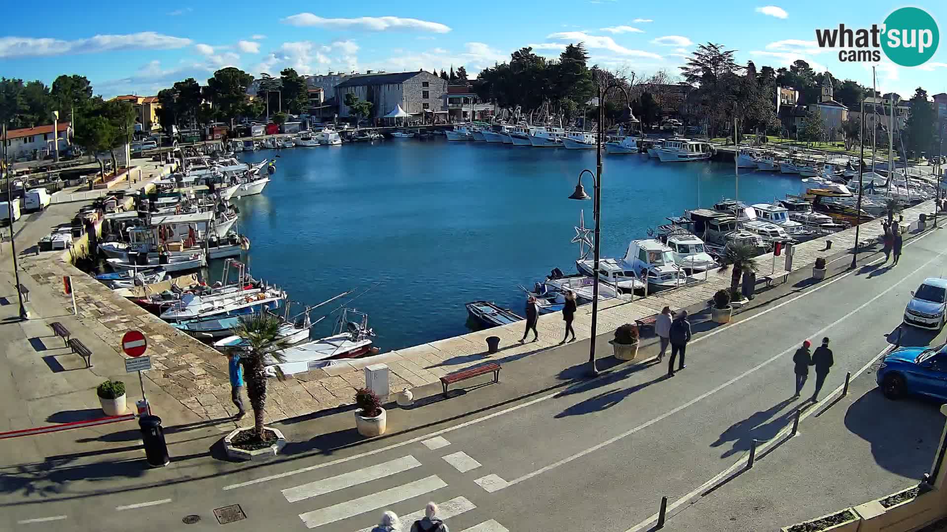 Novigrad webcam Mandrač | Cittanova in Istria – Porto vecchio