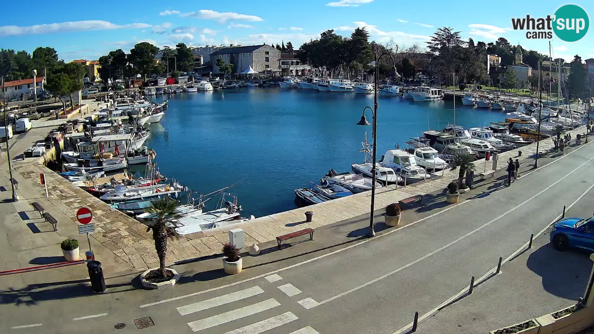 Novigrad webcam Mandrač | Cittanova in Istria – Porto vecchio