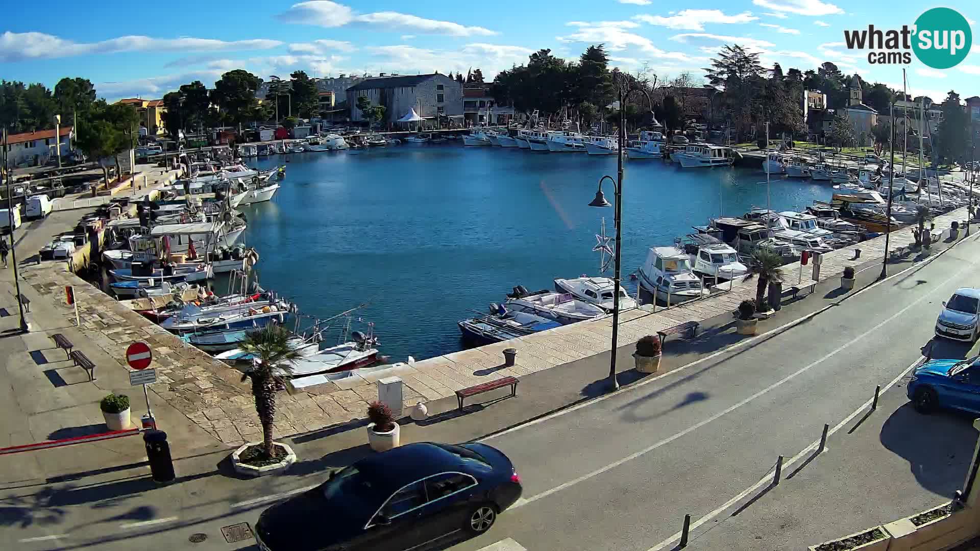 Novigrad webcam Mandrač | Cittanova in Istria – Porto vecchio