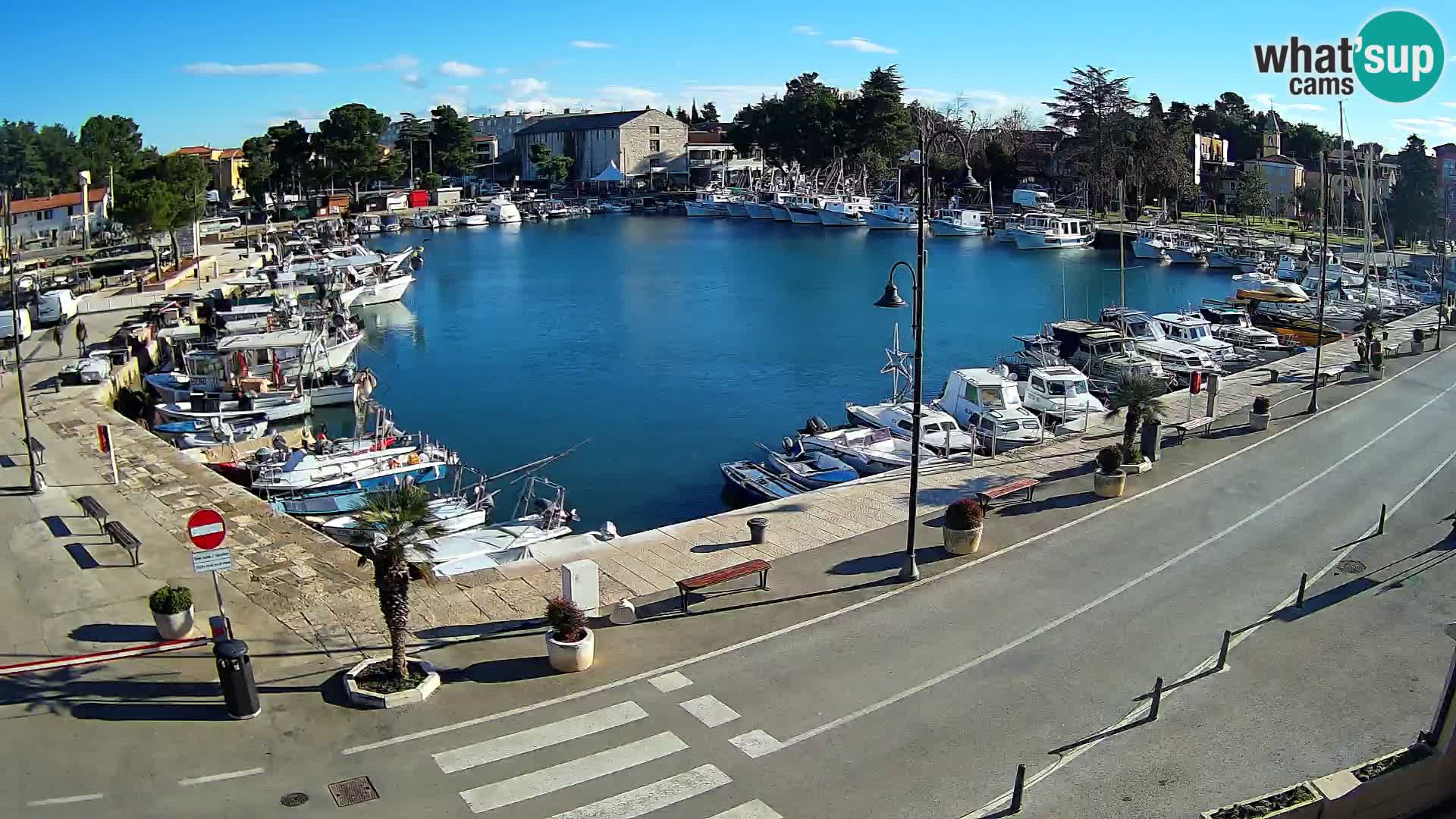 Novigrad webcam Mandrač | Cittanova in Istria – Porto vecchio