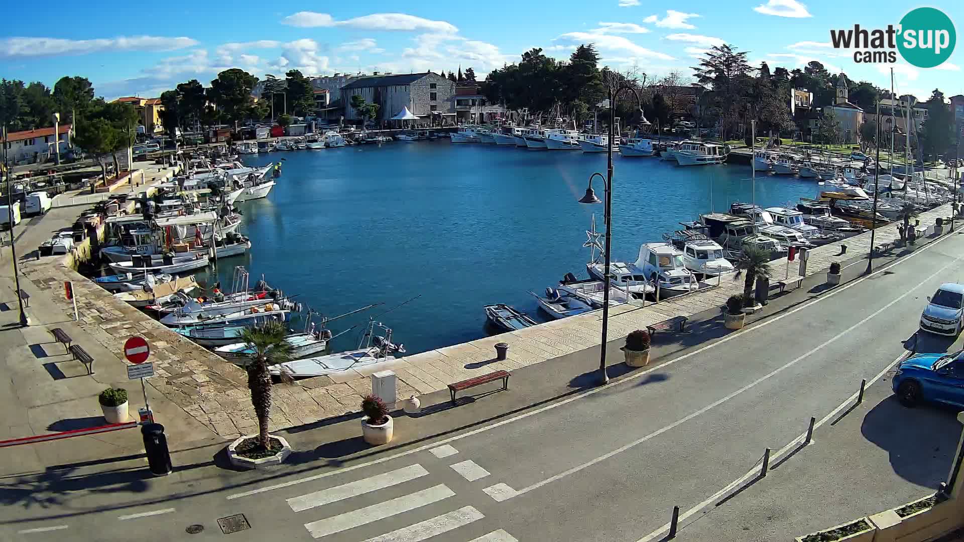 Novigrad webcam Mandrač | Cittanova in Istria – Porto vecchio