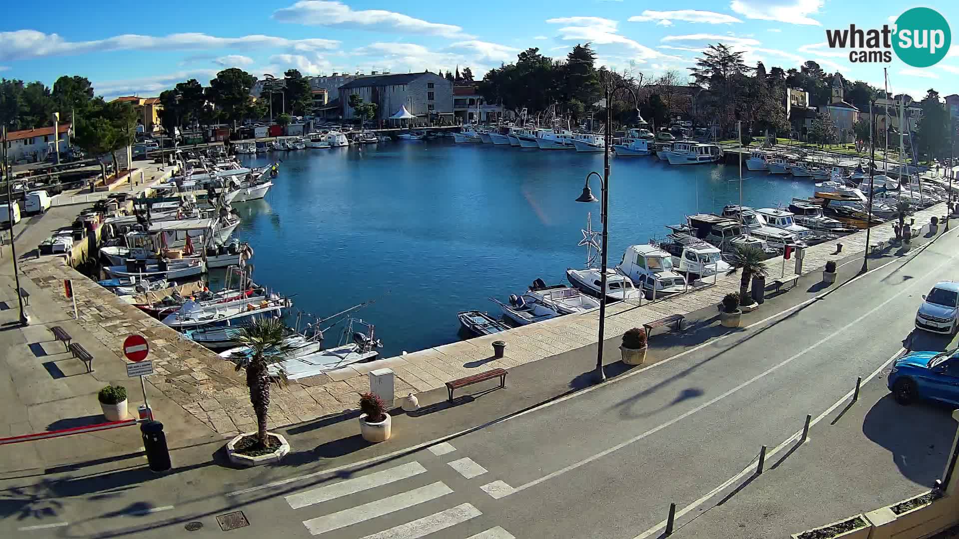 Novigrad webcam Mandrač | Cittanova in Istria – Porto vecchio