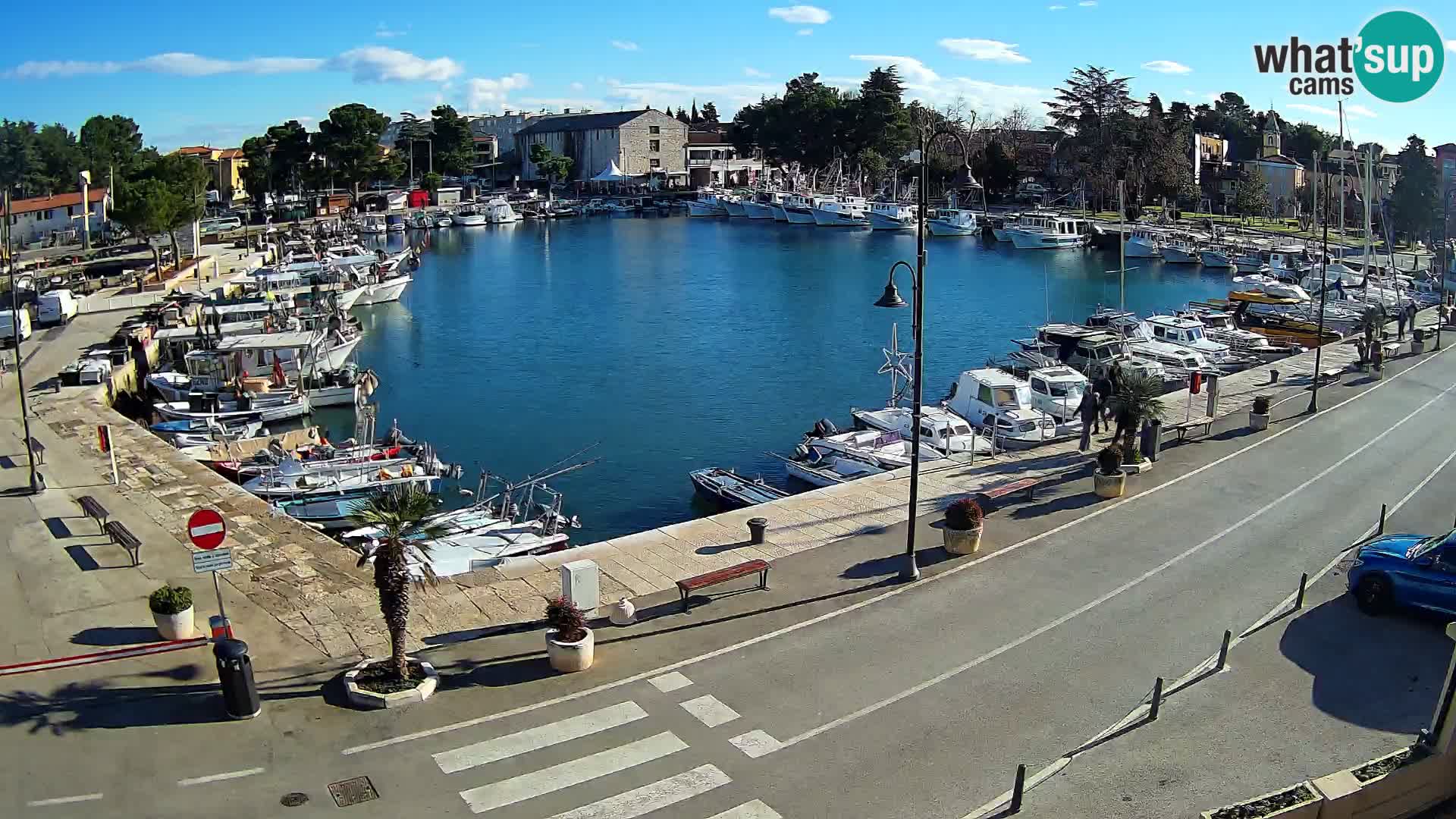 Novigrad webcam Mandrač | alten Hafen – Istrien