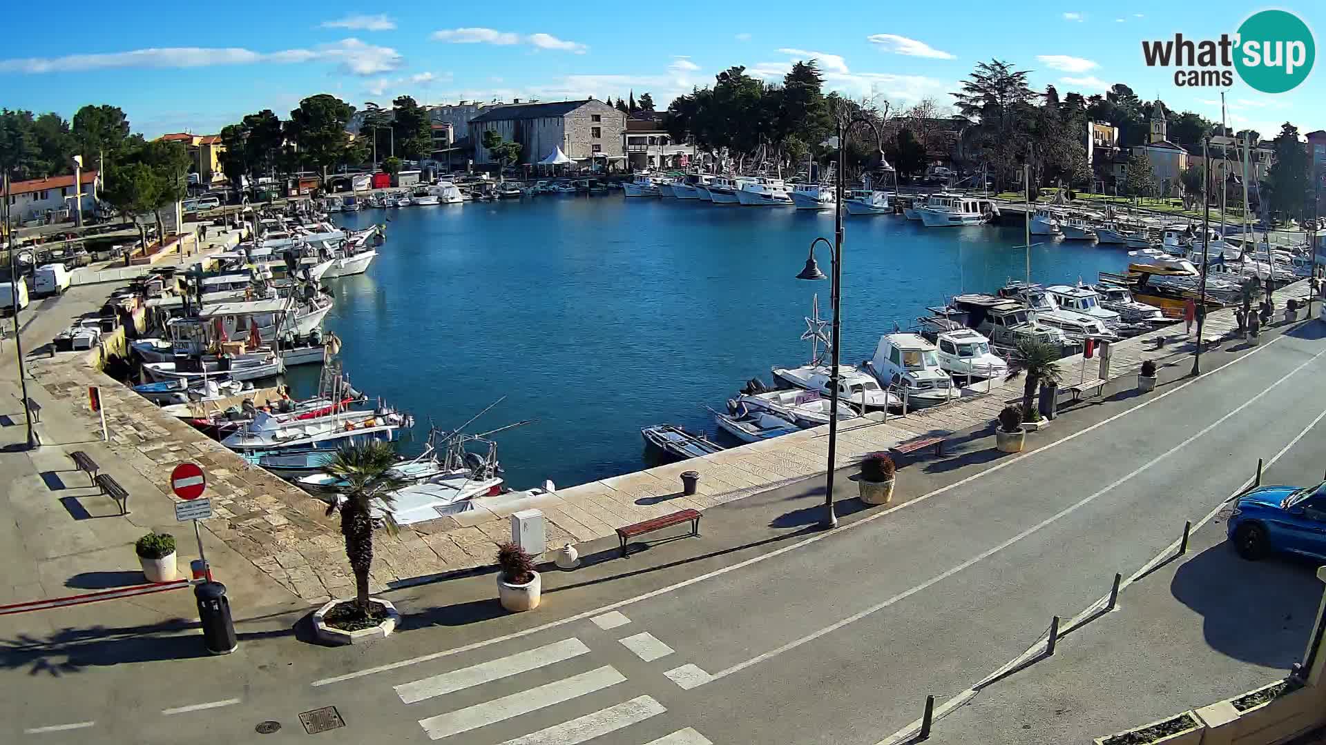 Novigrad webcam Mandrač | Cittanova in Istria – Porto vecchio