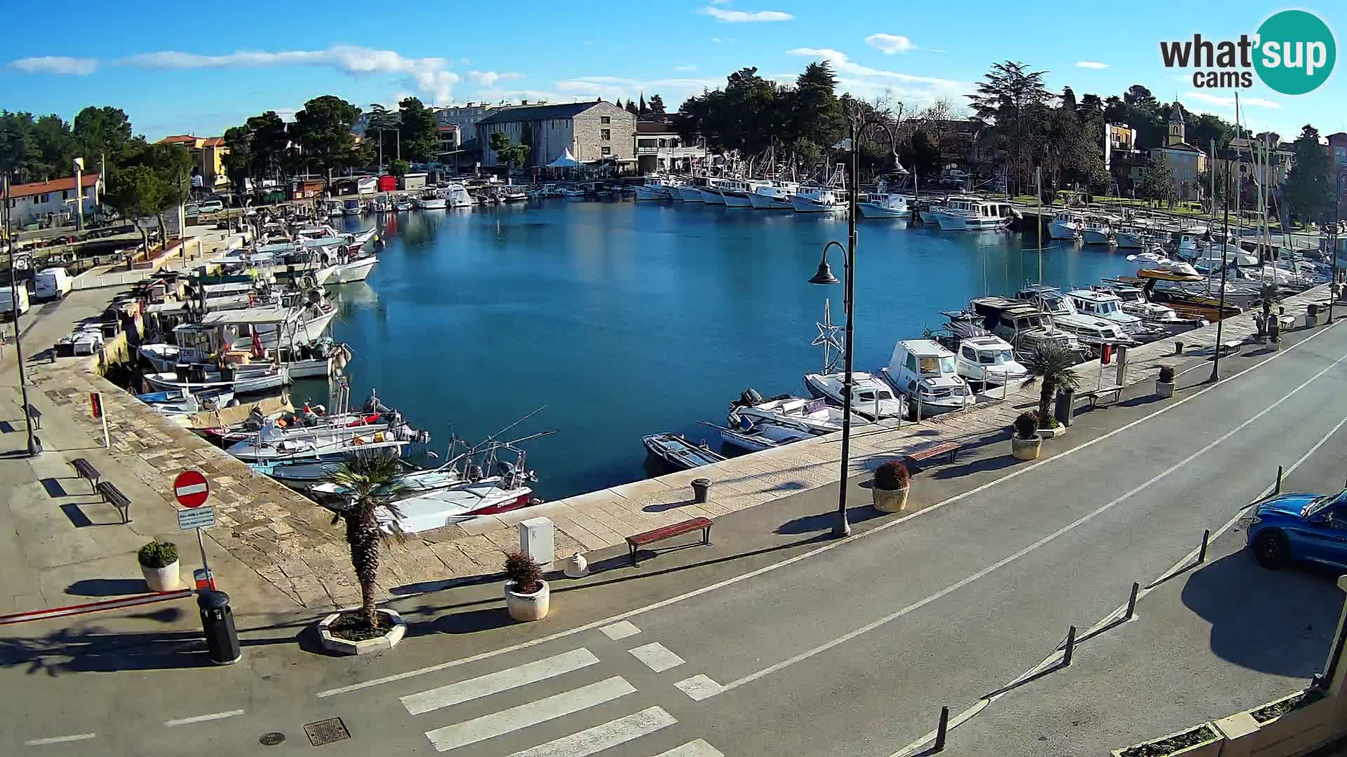 Novigrad webcam Mandrač | Cittanova in Istria – Porto vecchio