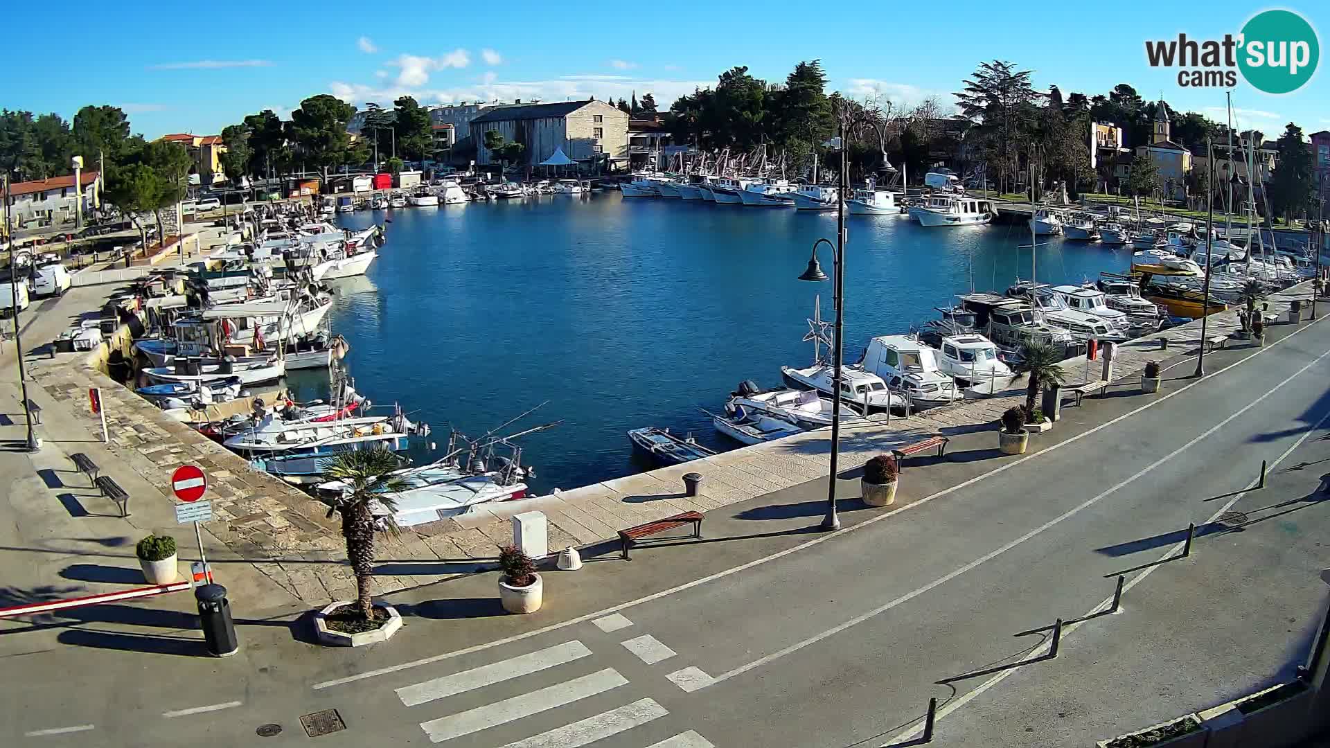 Novigrad webcam Mandrač | Cittanova in Istria – Porto vecchio