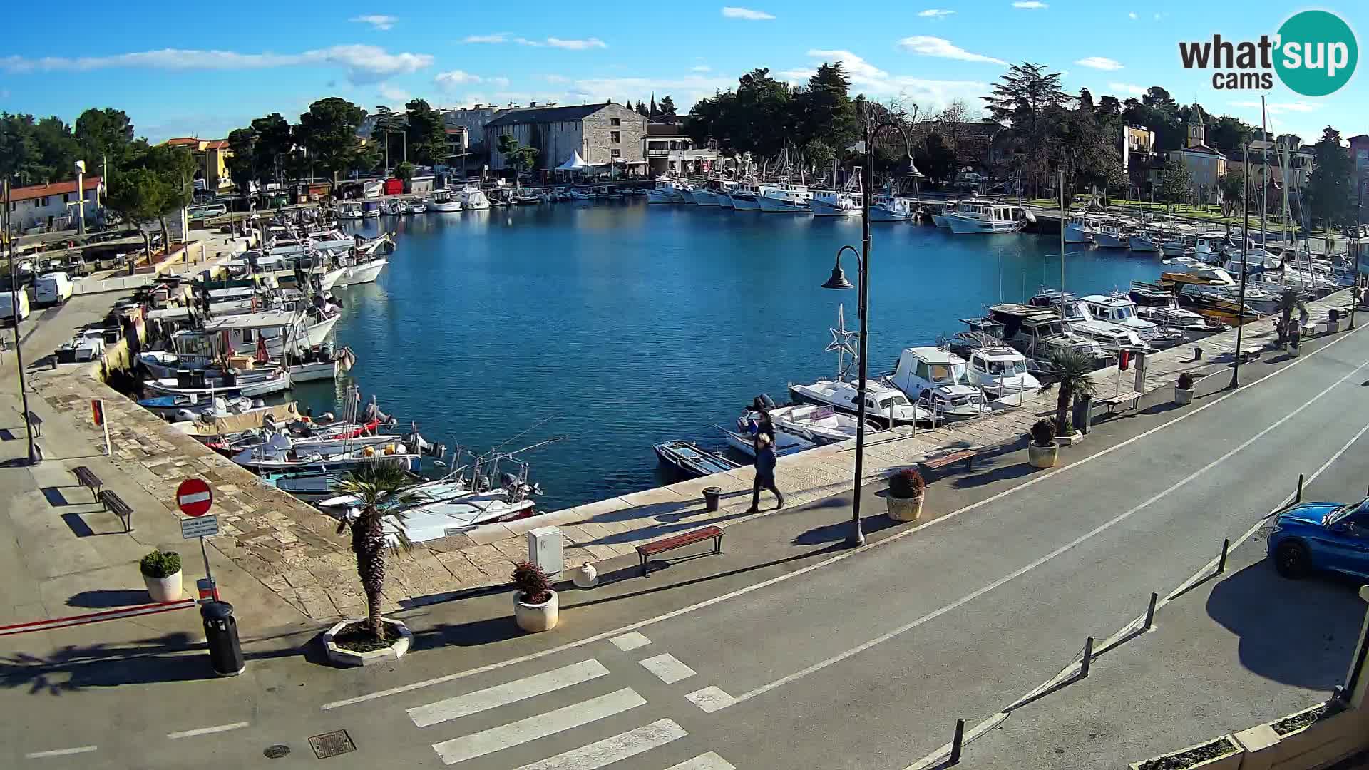 Novigrad webcam Mandrač | Cittanova in Istria – Porto vecchio