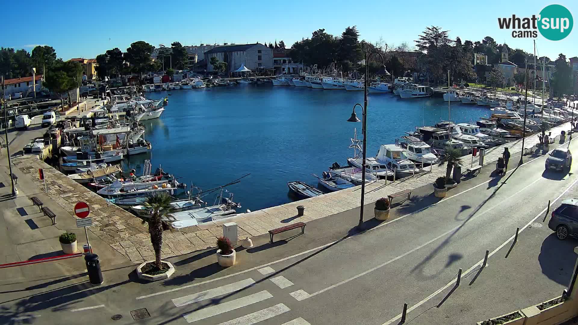 Novigrad webcam Mandrač | Cittanova in Istria – Porto vecchio