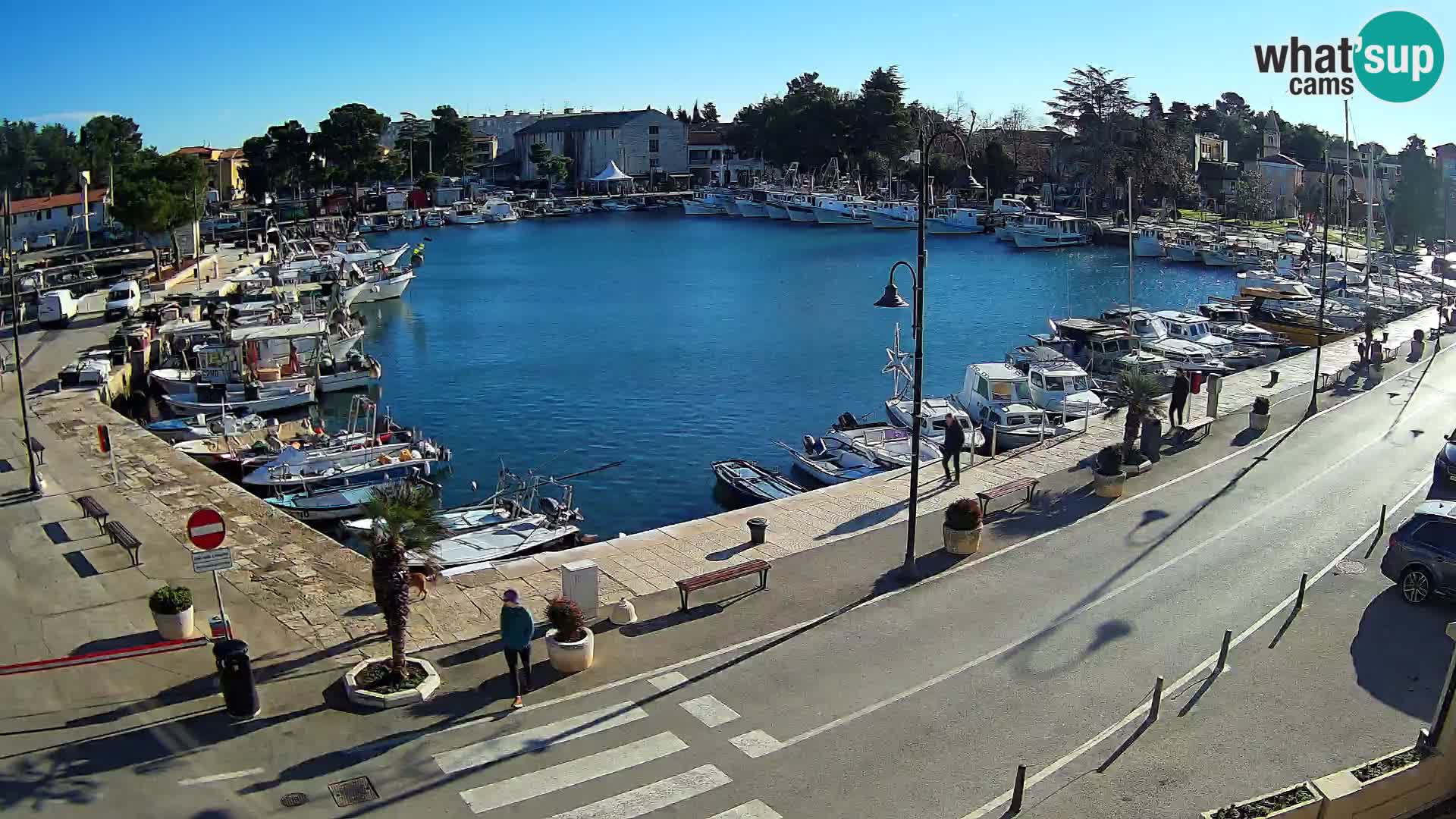 Novigrad webcam Mandrač | old marina – Istria