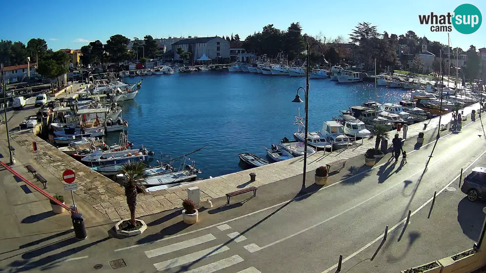 Novigrad webcam Mandrač | old marina – Istria