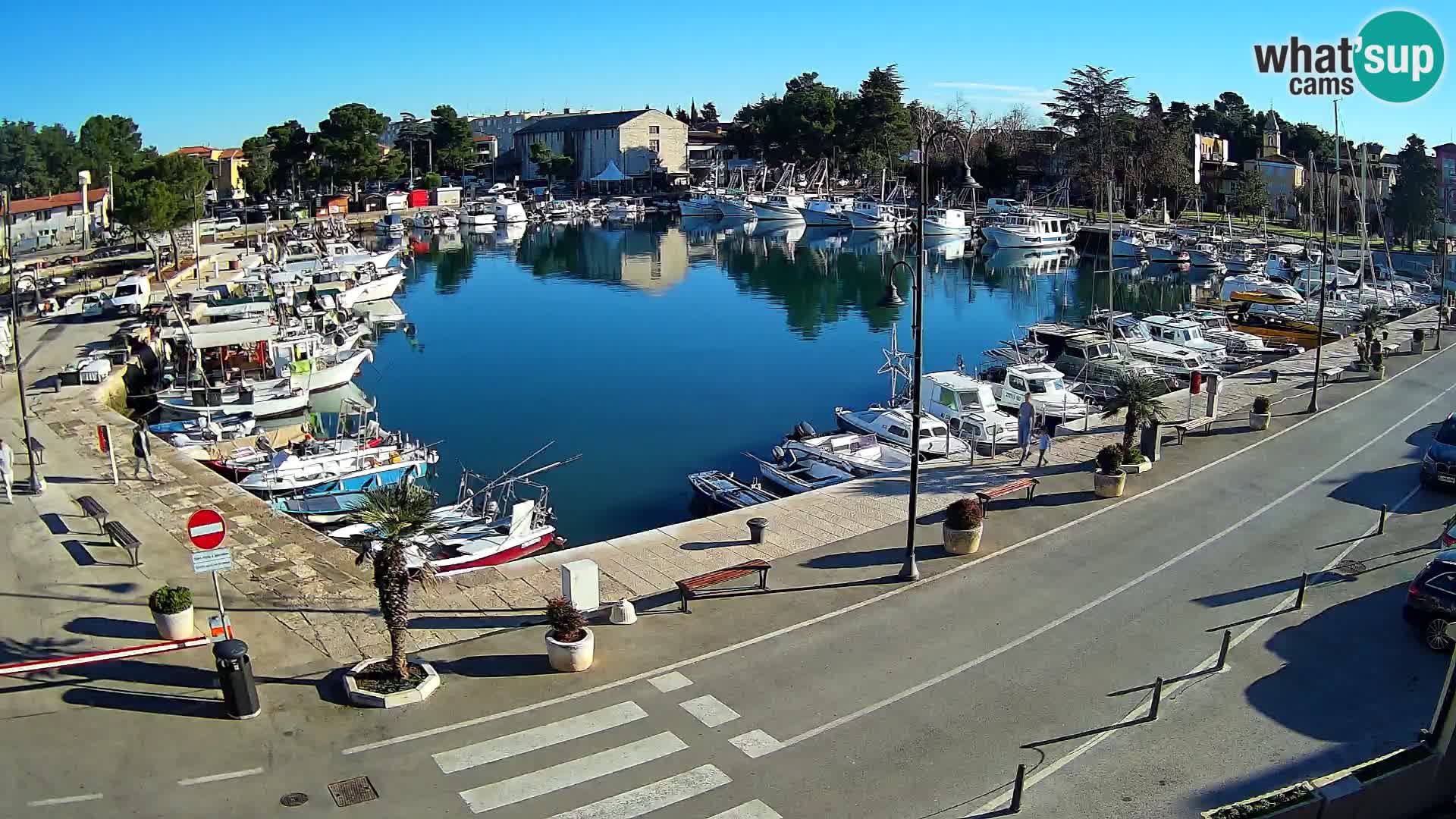 Novigrad webcam Mandrač | Cittanova in Istria – Porto vecchio