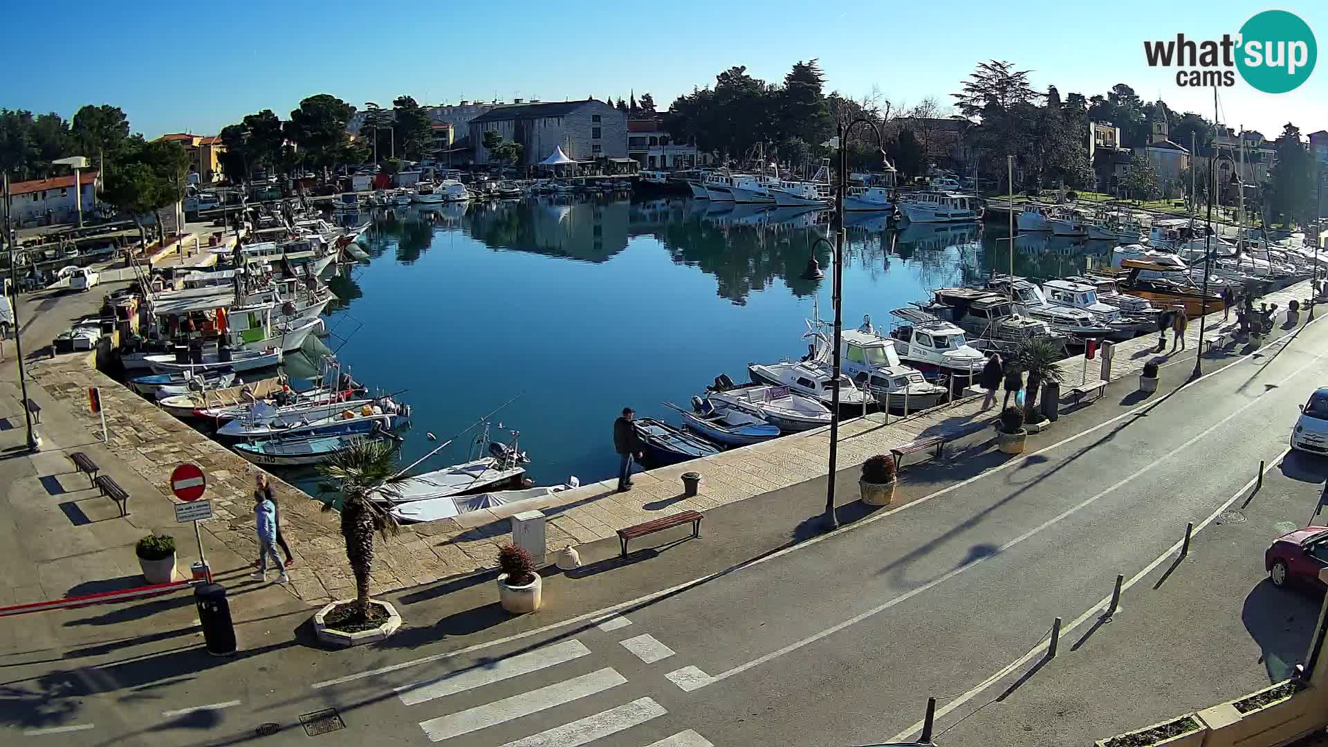 Novigrad webcam – old marina “Mandrač”