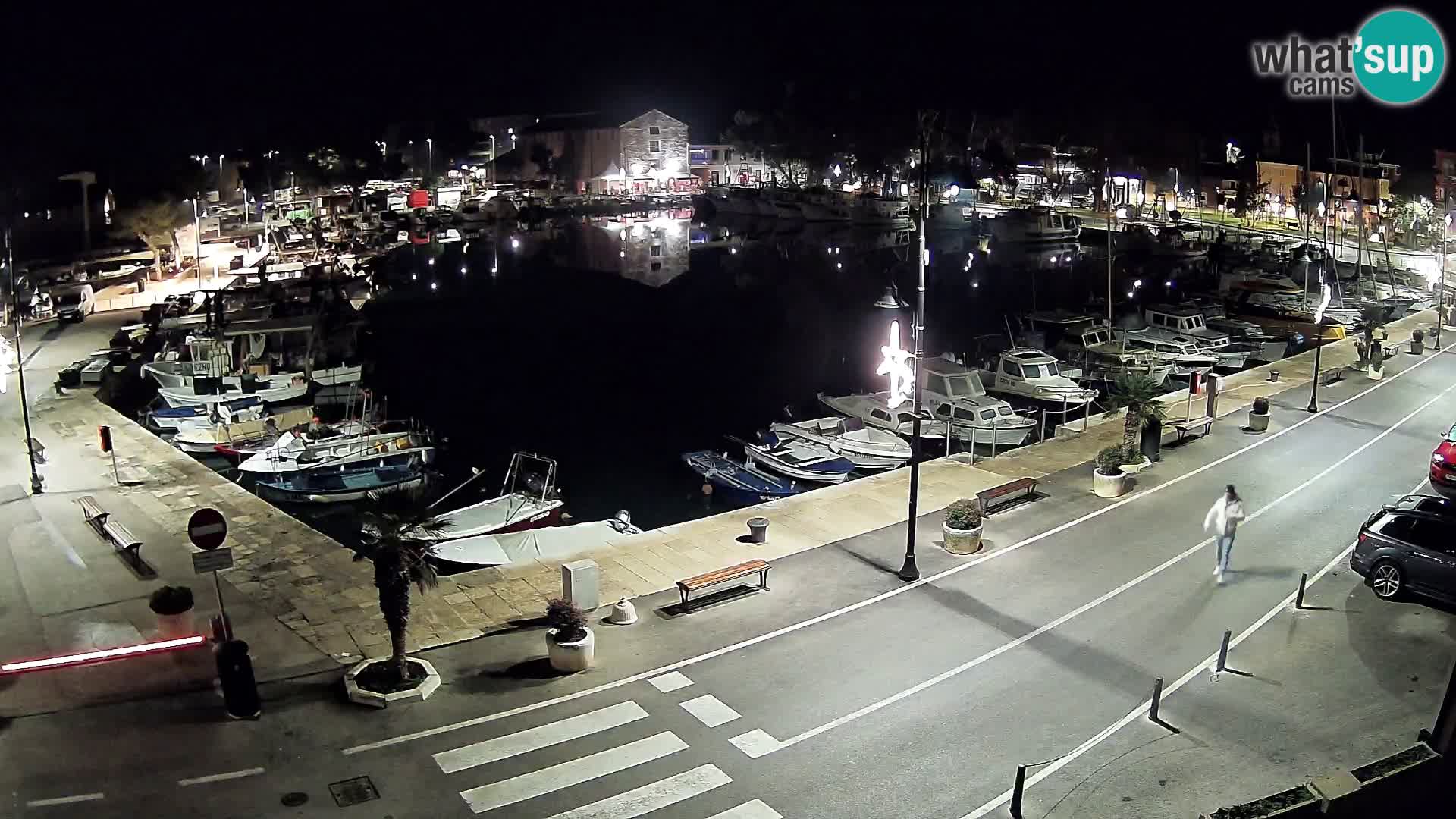 Novigrad webcam – old marina “Mandrač”