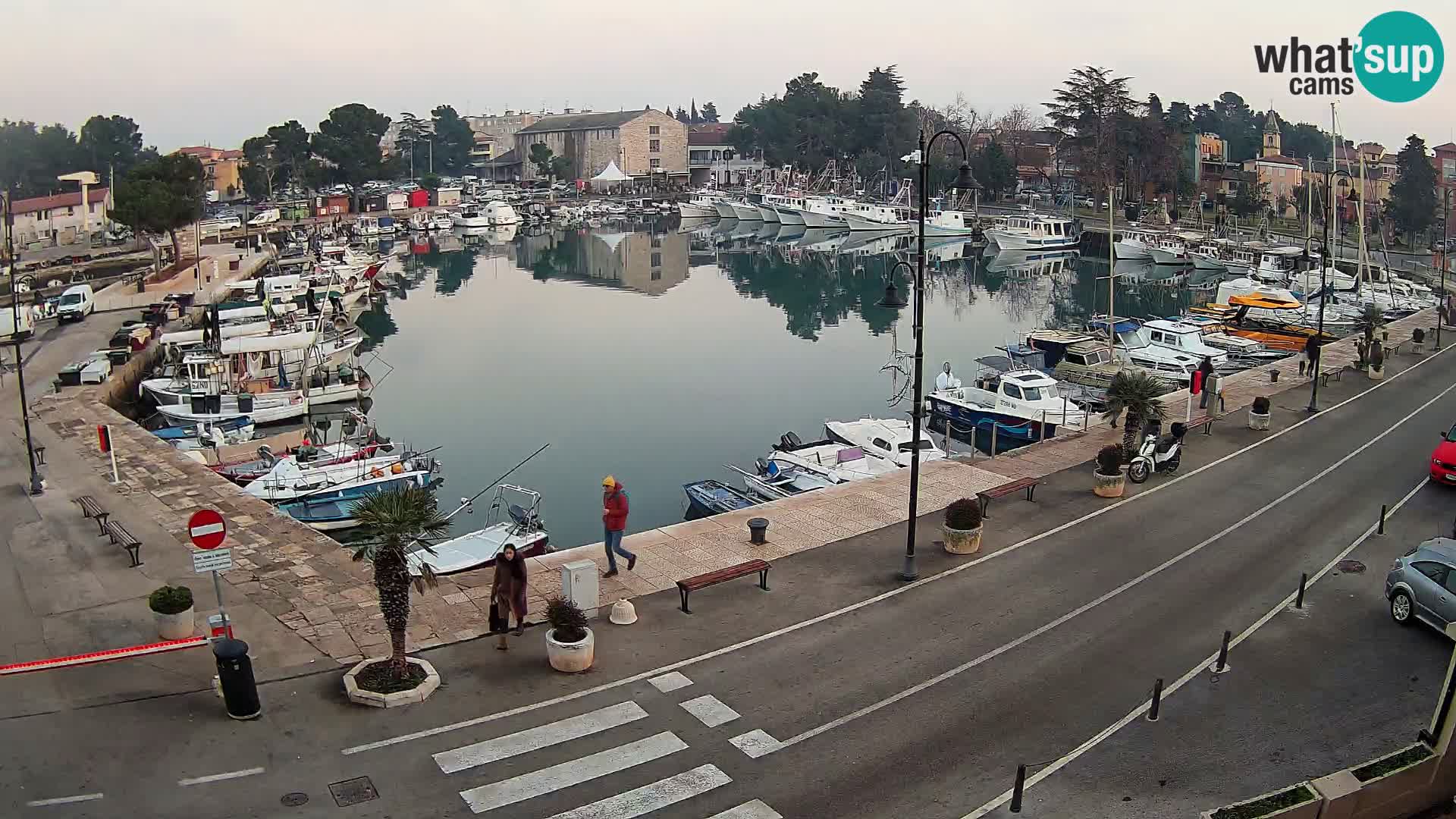 Novigrad webcam Mandrač | old marina – Istria