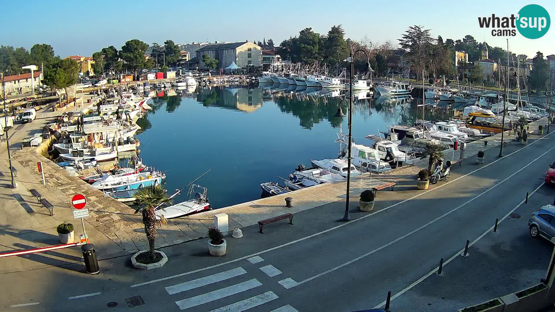 Novigrad webcam Mandrač | Cittanova in Istria – Porto vecchio