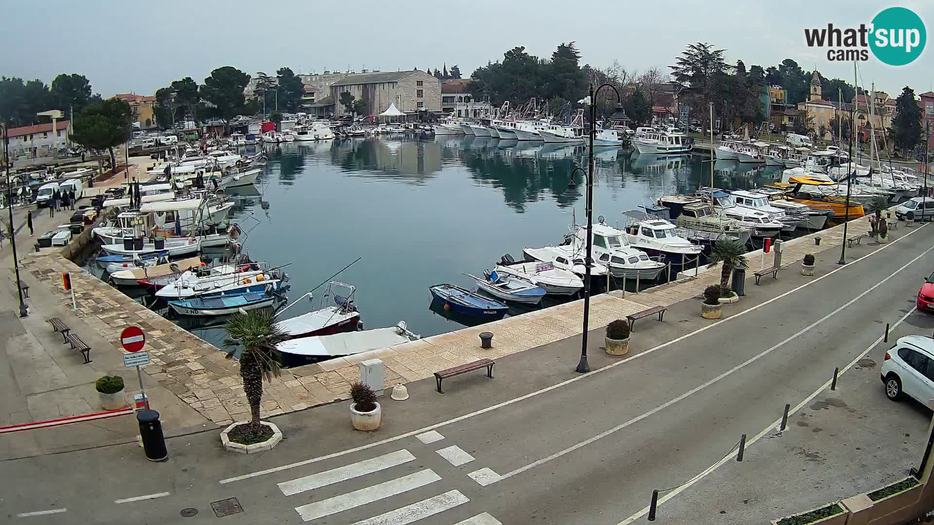 Novigrad webcam – old marina “Mandrač”