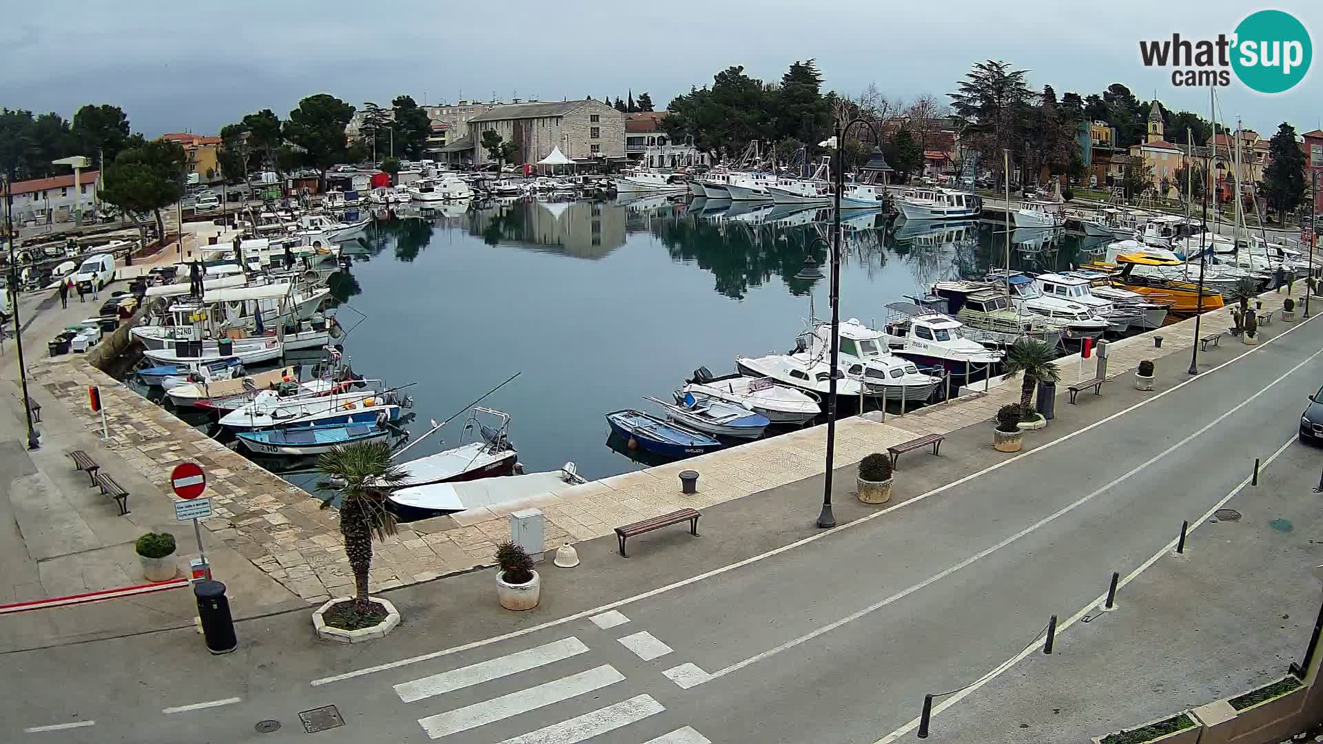 Novigrad webcam Mandrač | Cittanova in Istria – Porto vecchio