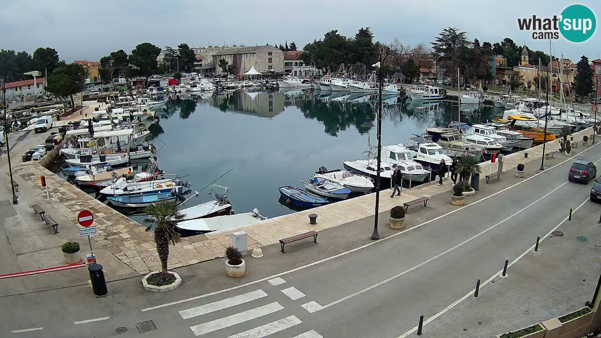 Novigrad webcam Mandrač | alten Hafen – Istrien